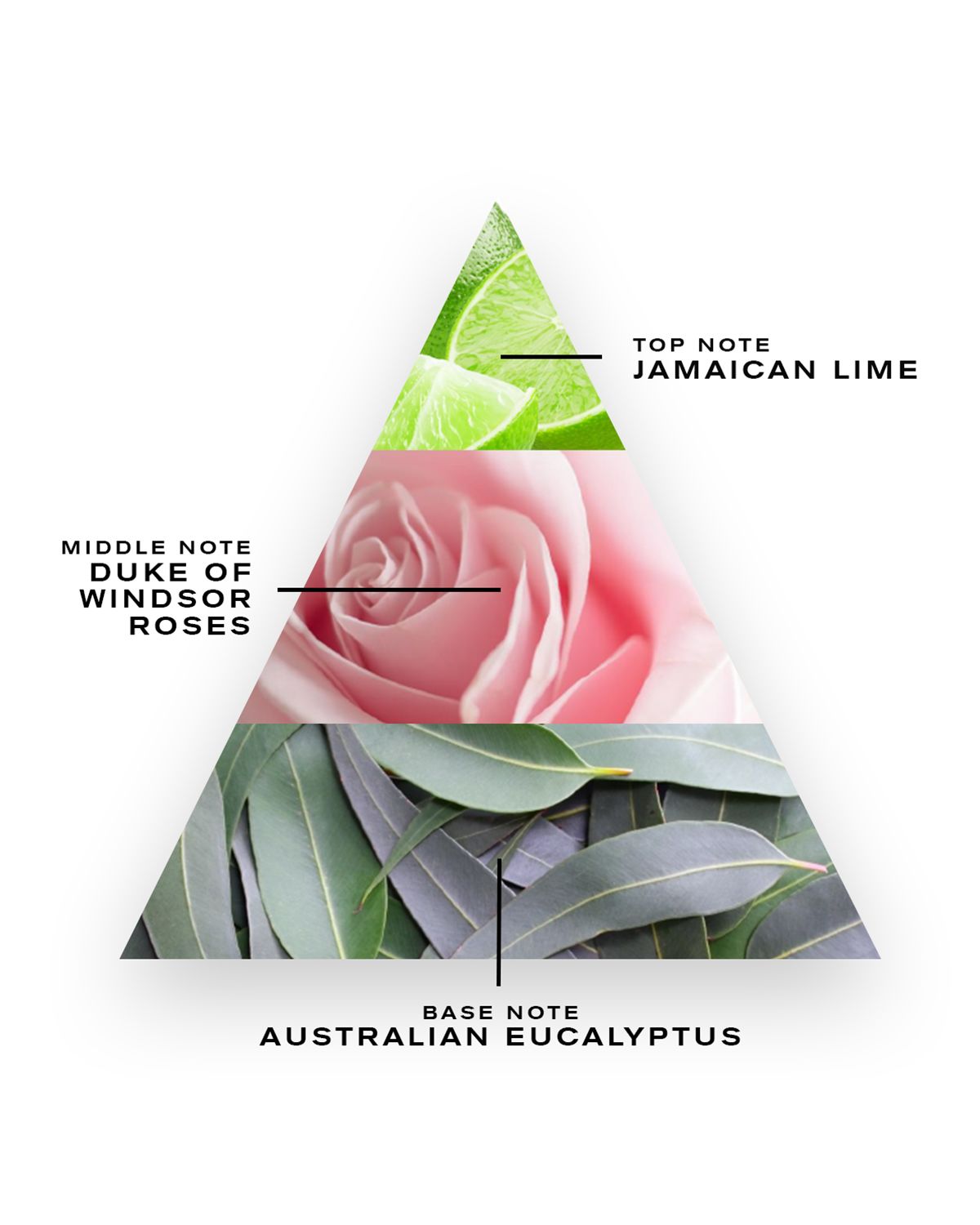 CREED 3.3 oz. Royal Mayfair Eau de Parfum