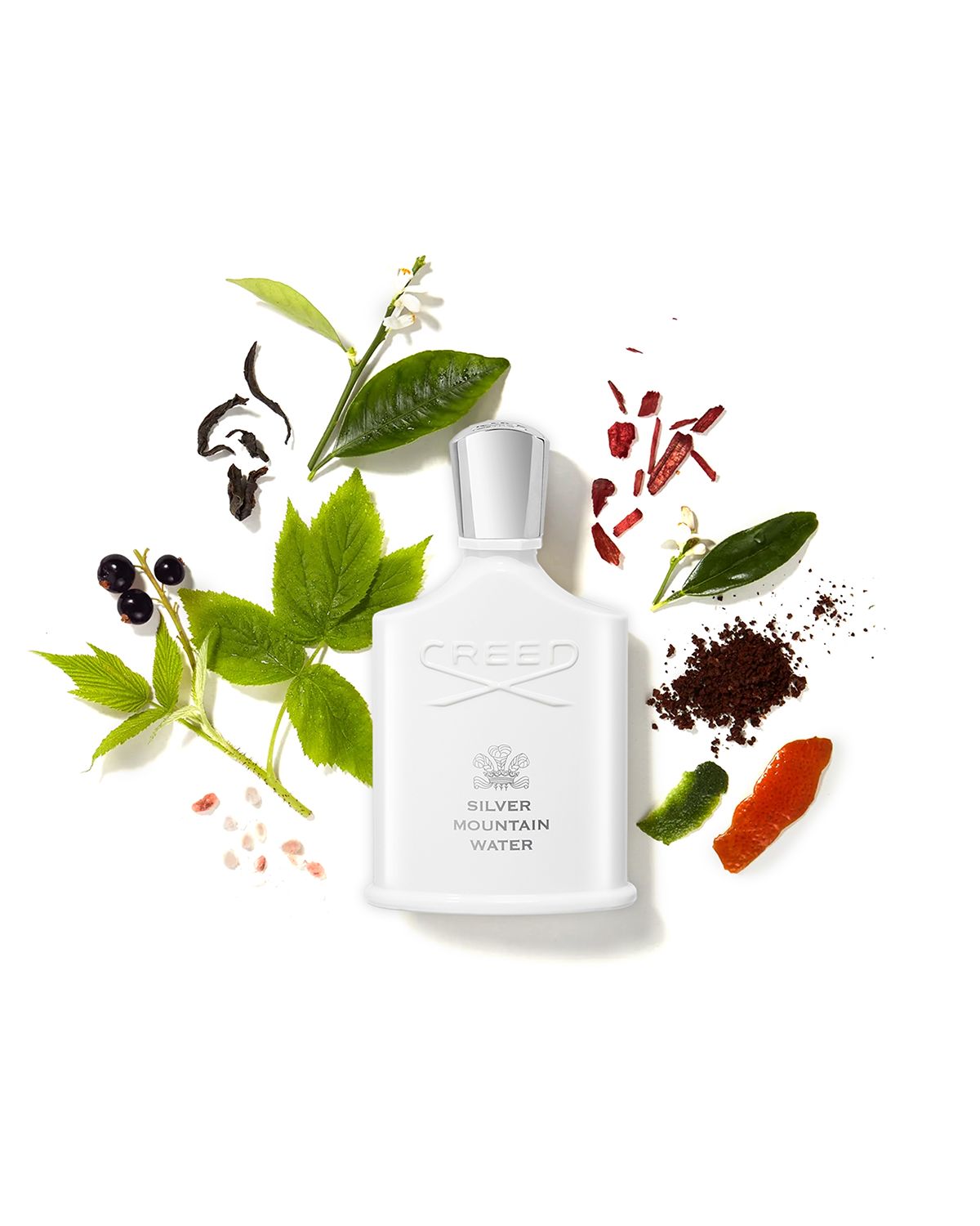 CREED Silver Mountain Water