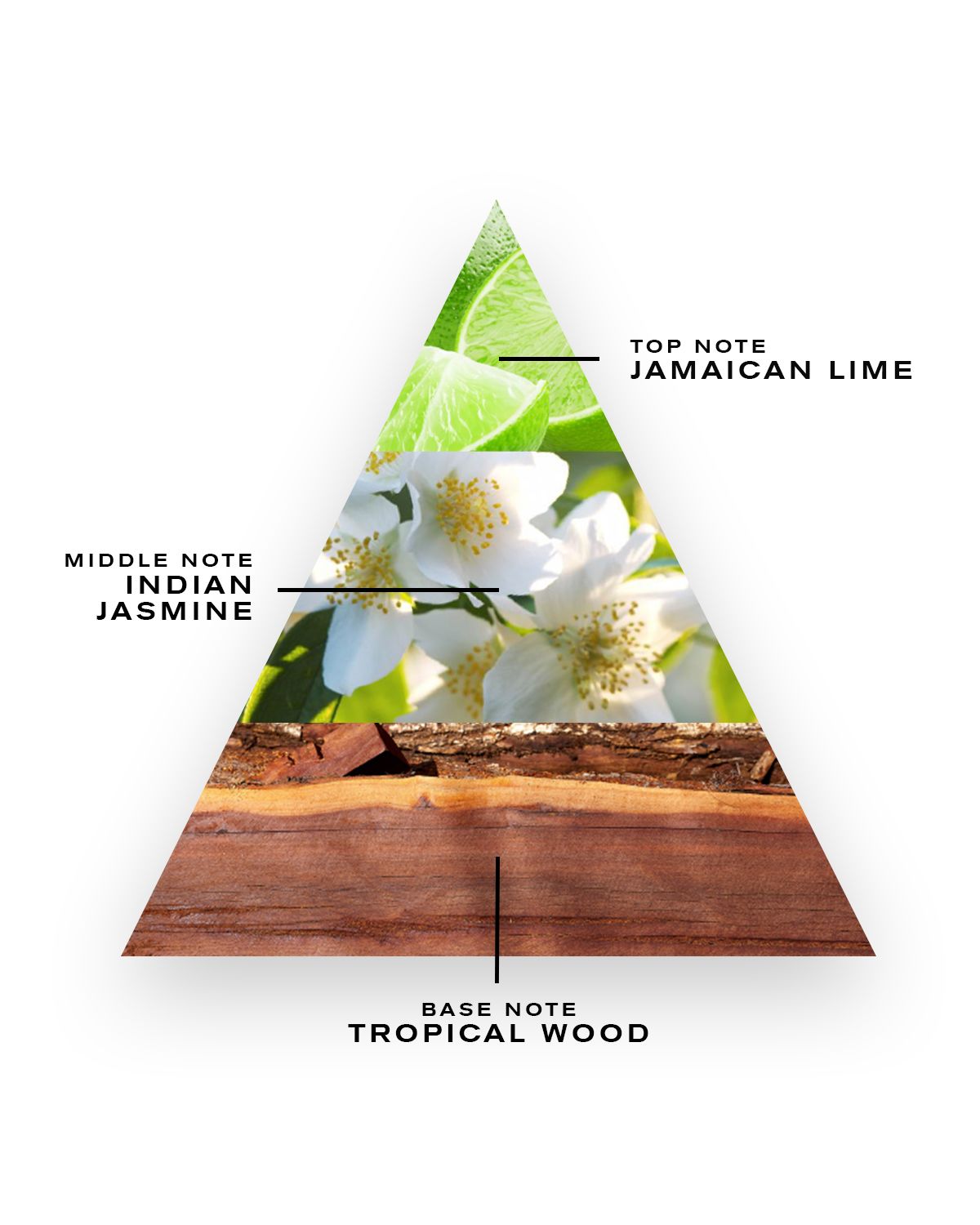 CREED Virgin Island Water