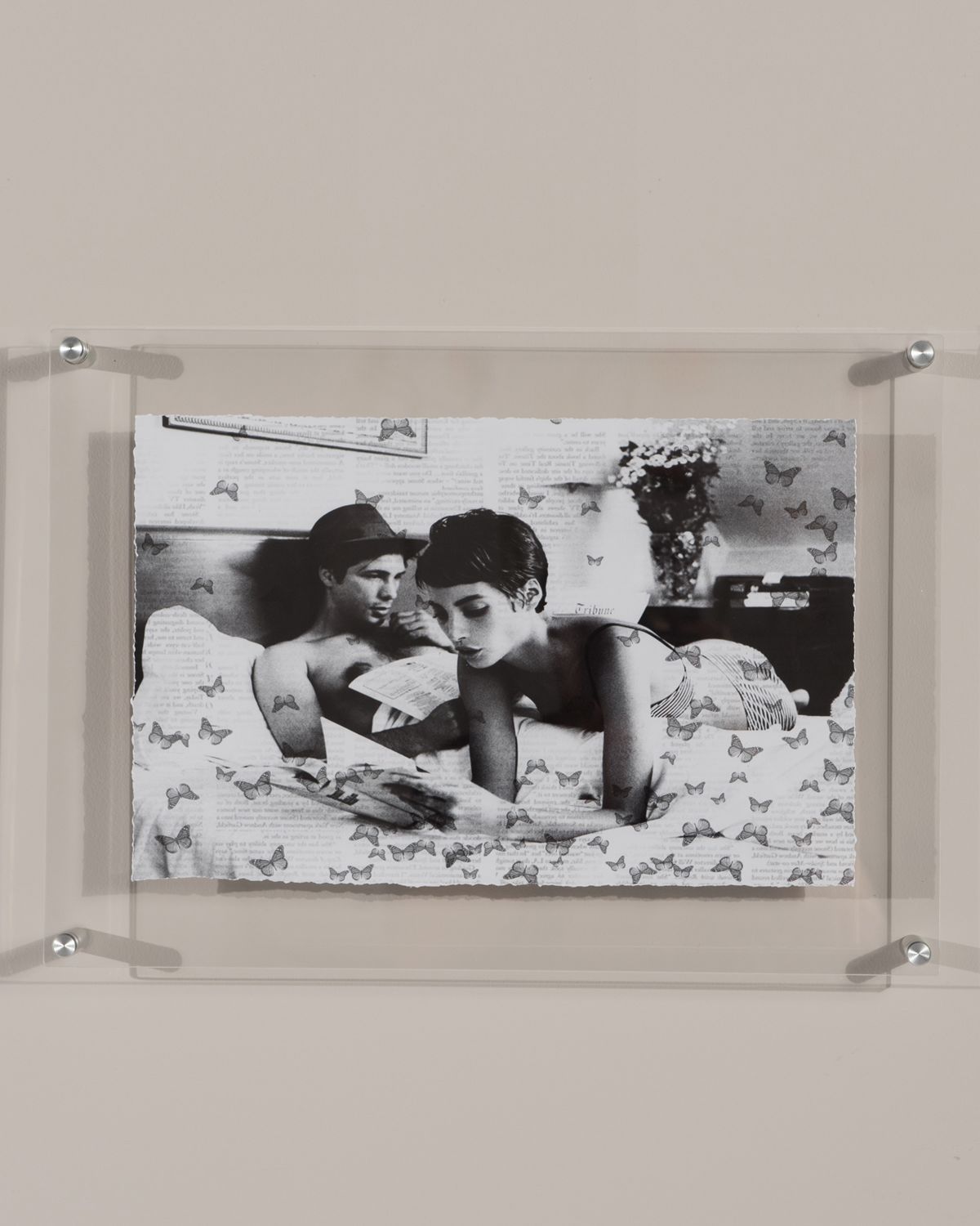 RFA Fine Art "Butterfly Stories" Print Photography Art in Plexi Frame | Thumbnail 3 RFA Fine Art "Butterfly Stories" Print Photography Art in Plexi Frame | Thumbnail 3