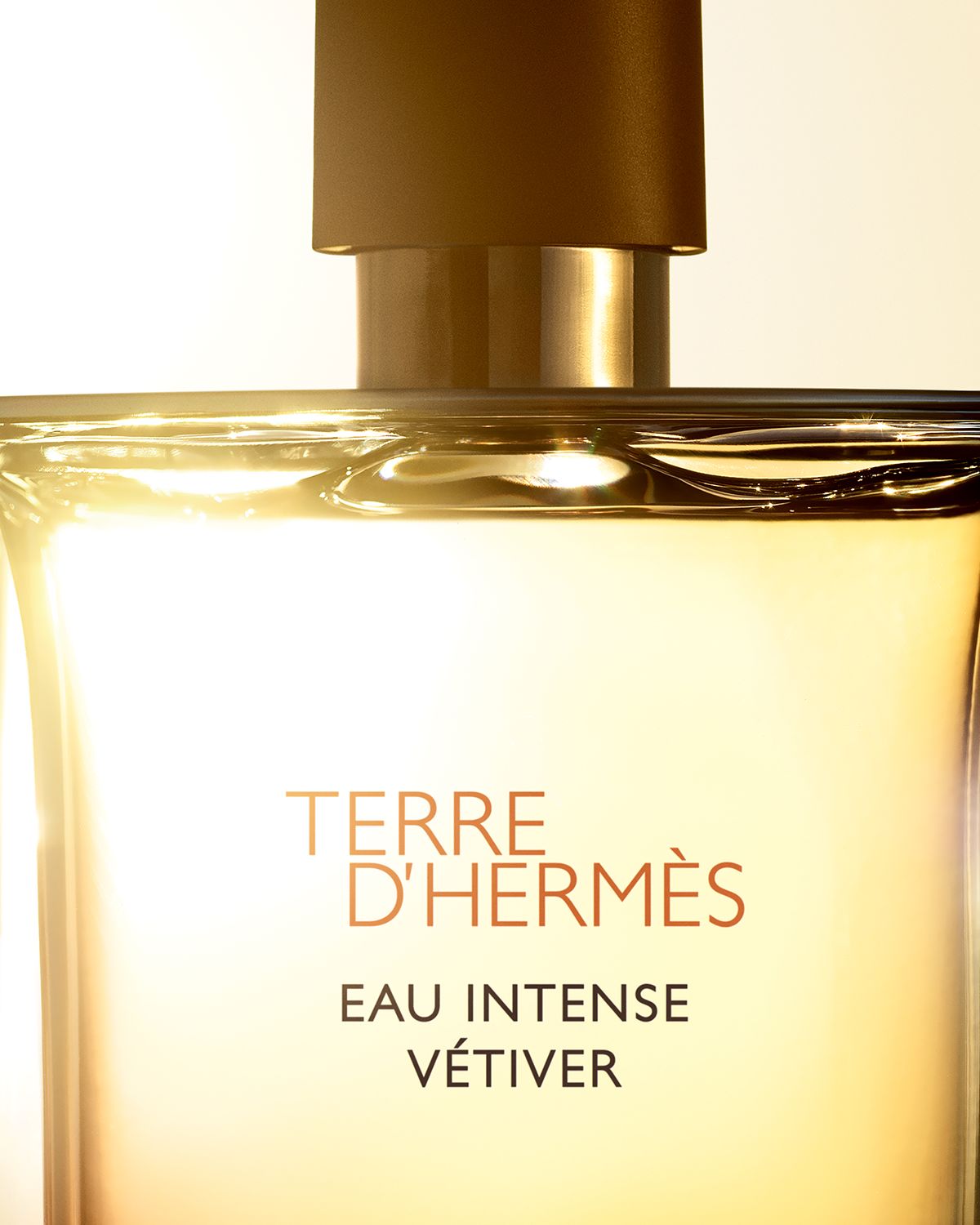 Hermes Terre d ' Eau Intense Vetiver Eau de Parfum, 3.4 oz.