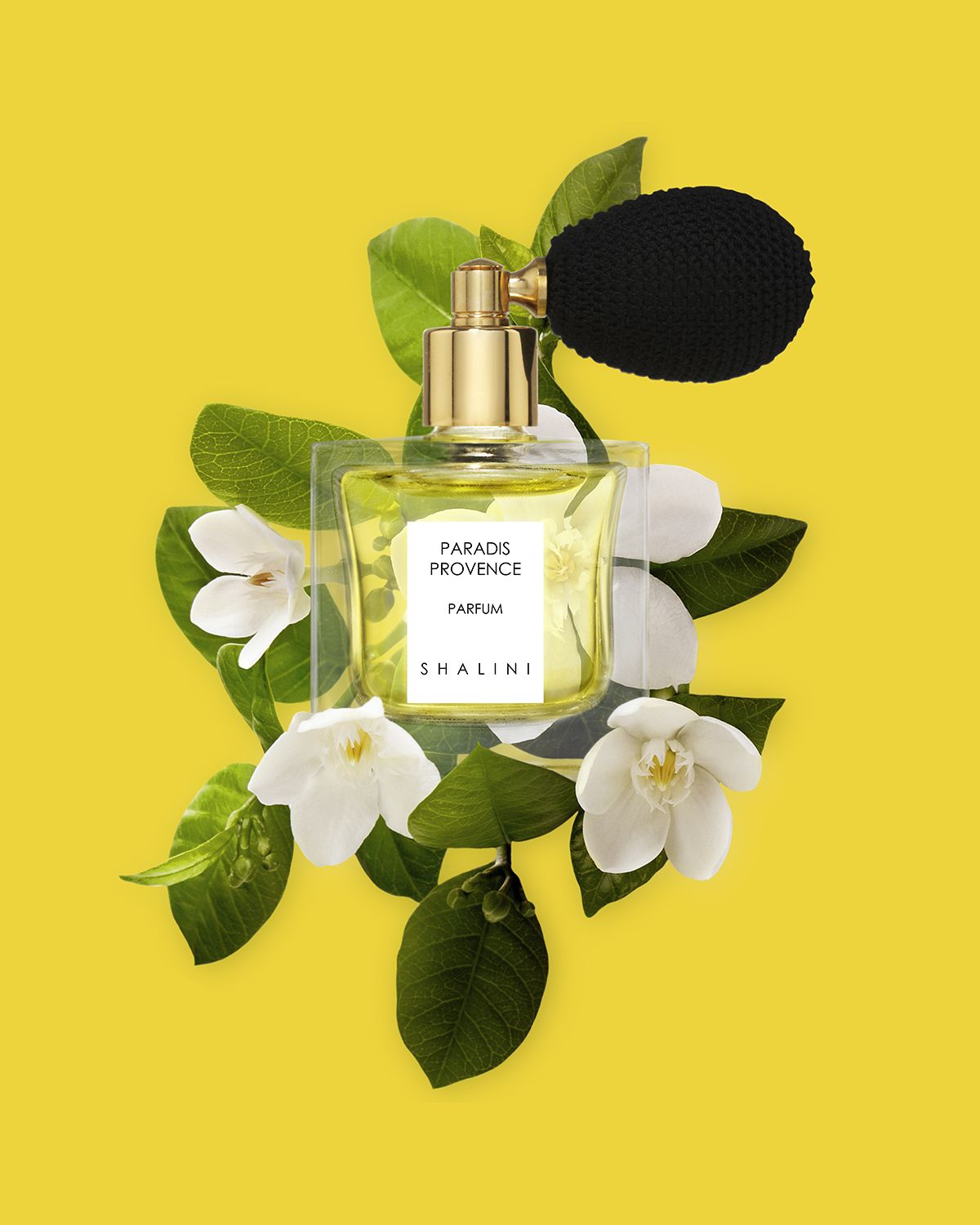 Shalini Parfum Paradis Provence Cubique Glass Bottle with Black Bulb Atomizer, 1.7 oz./ 50 mL