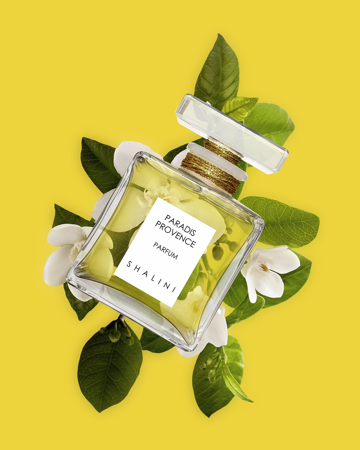 Shalini Parfum Paradis Provence Cubique Glass Bottle with Glass Stopper, 1.7 oz./ 50 mL