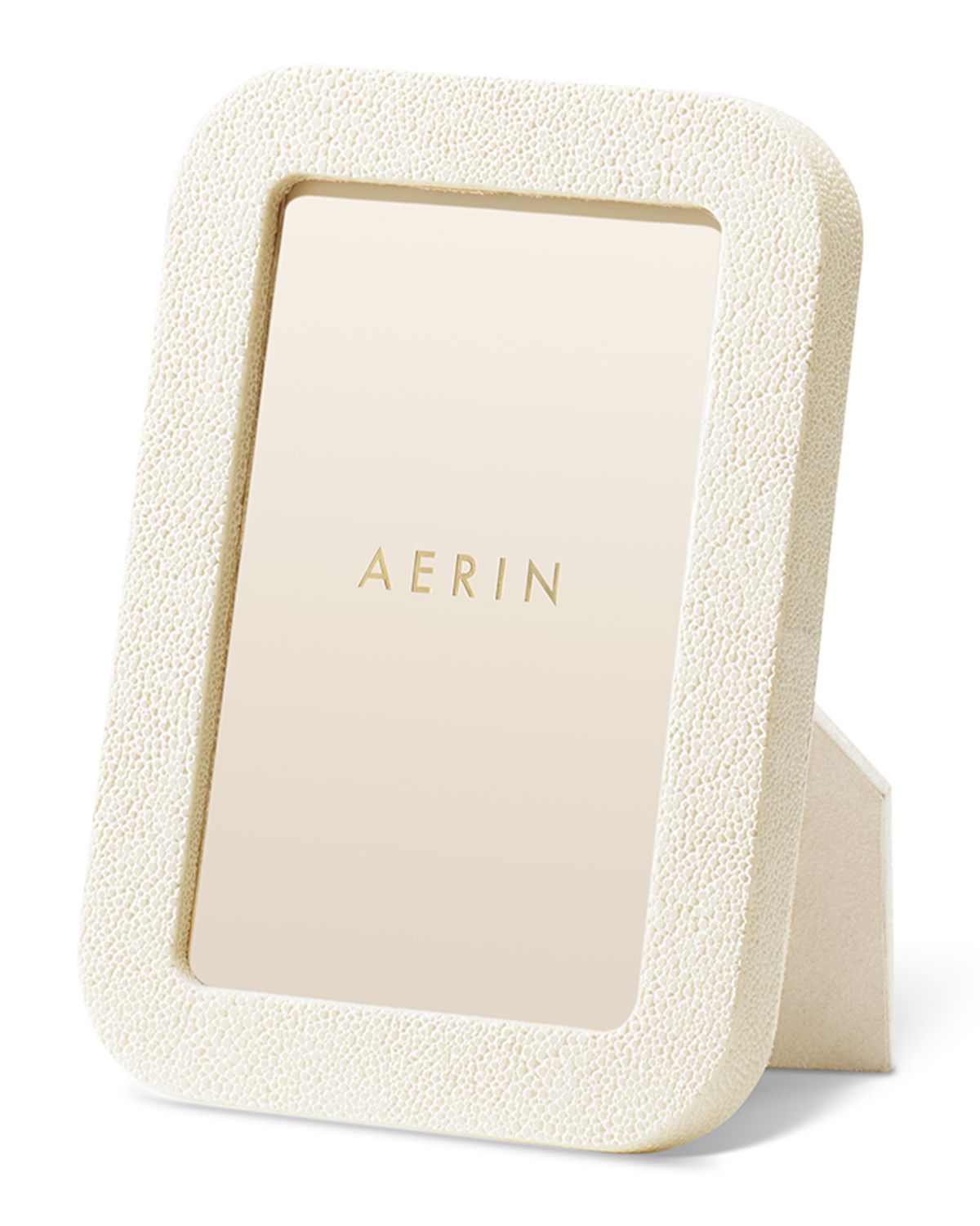 AERIN Modern Faux Shagreen Frame