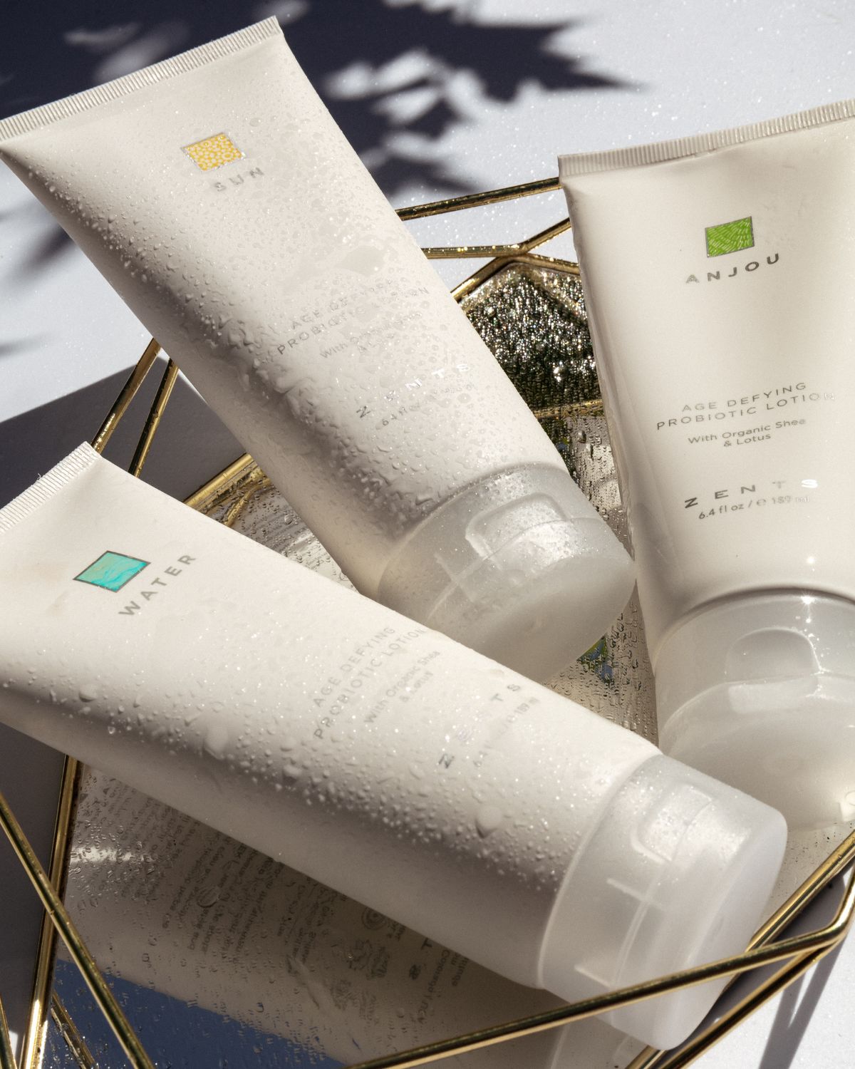 ZENTS 6 oz. Fresh Age Defying Probiotic Lotion