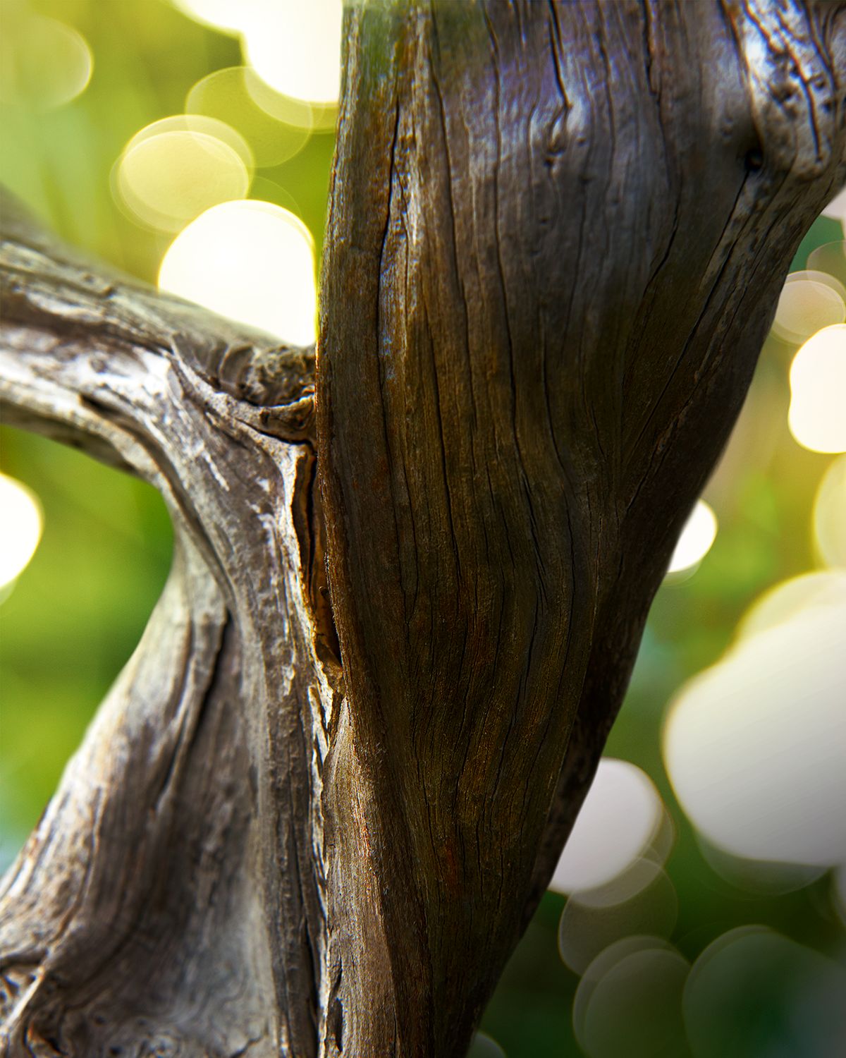 BVLGARI Man Wood Essence Eau de Parfum