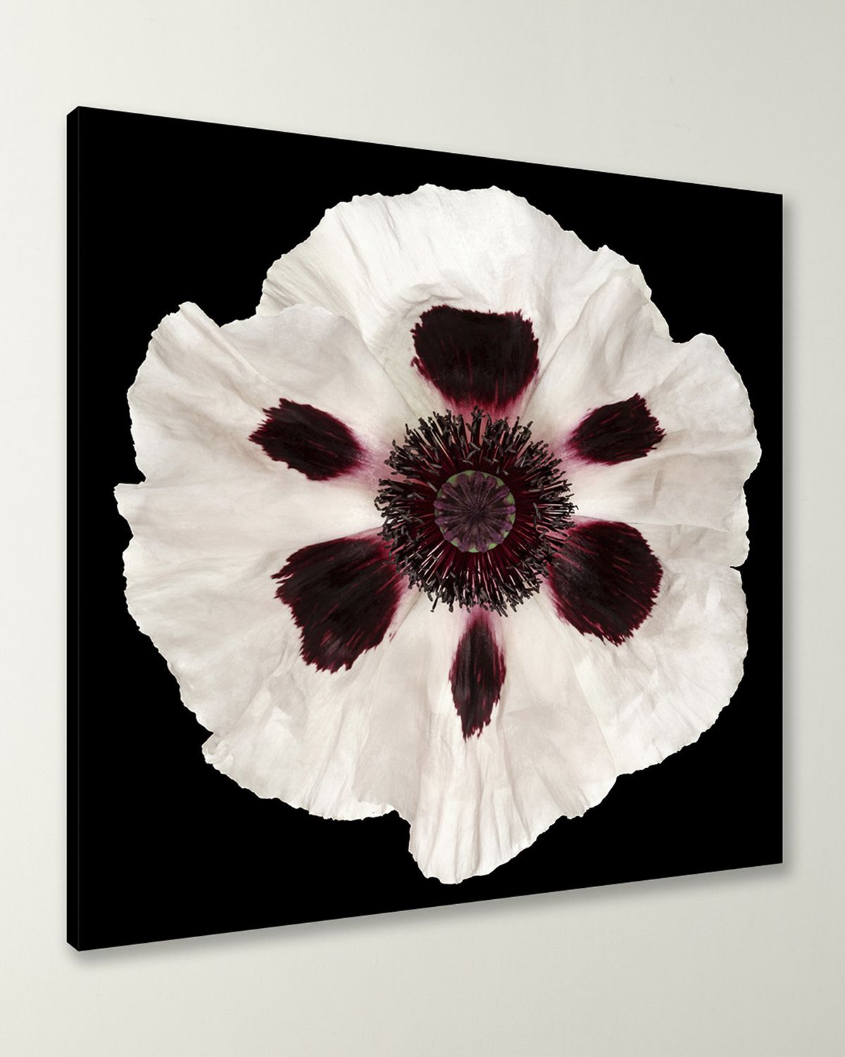 Wendover Art Group White Poppy Giclee | Thumbnail 6 Wendover Art Group White Poppy Giclee | Thumbnail 6