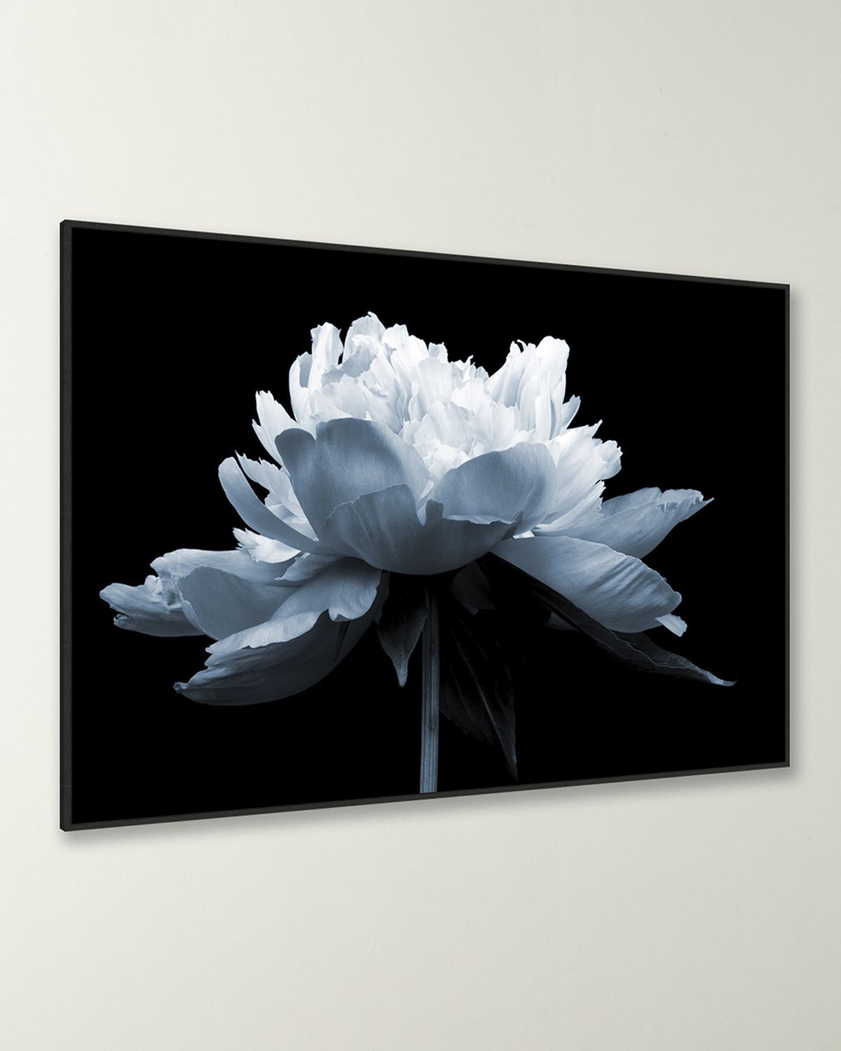 Wendover Art Group "Midnight Blossom 2" Giclee | Thumbnail 6