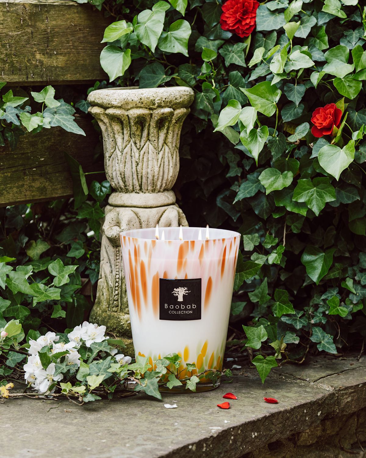 Baobab Collection Max 35 Eden Garden Scented Candle