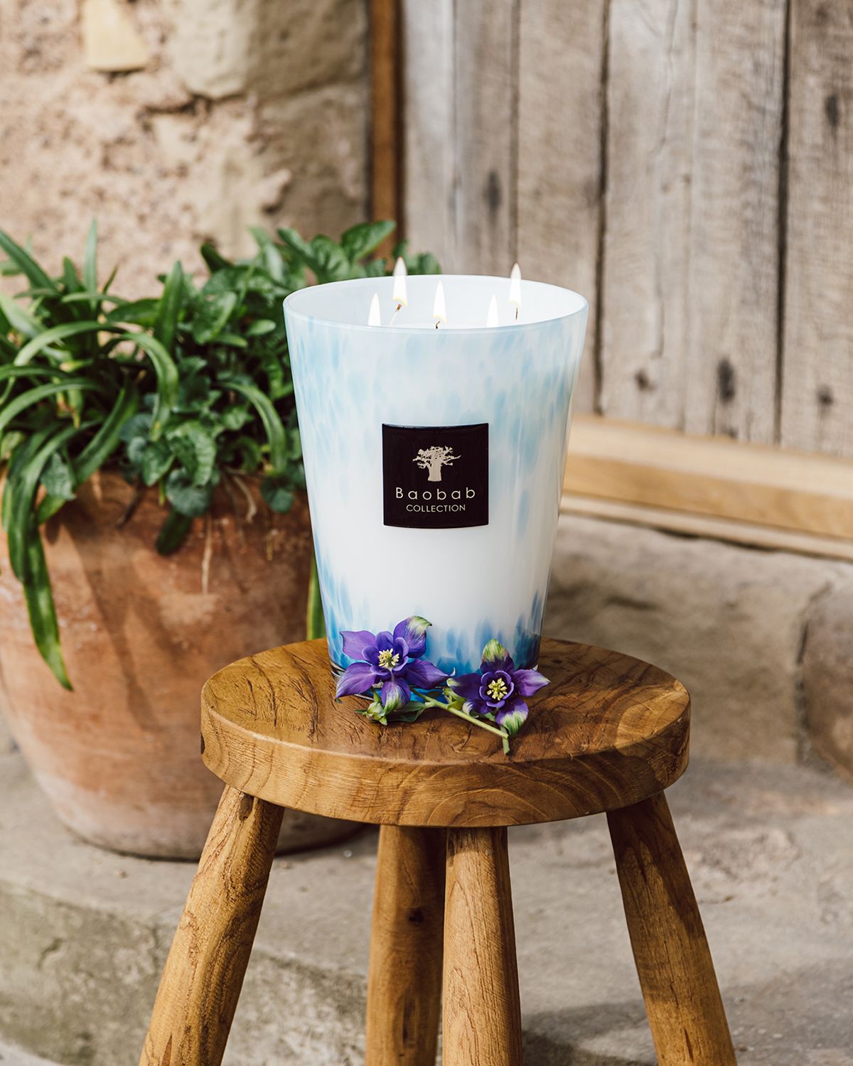 Baobab Collection Max 35 Eden Seaside Scented Candle