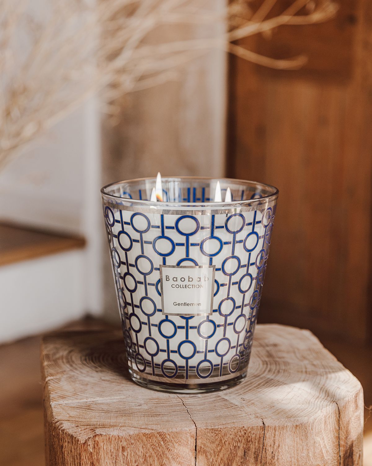 Baobab Collection Max 16 Gentlemen Scented Candle