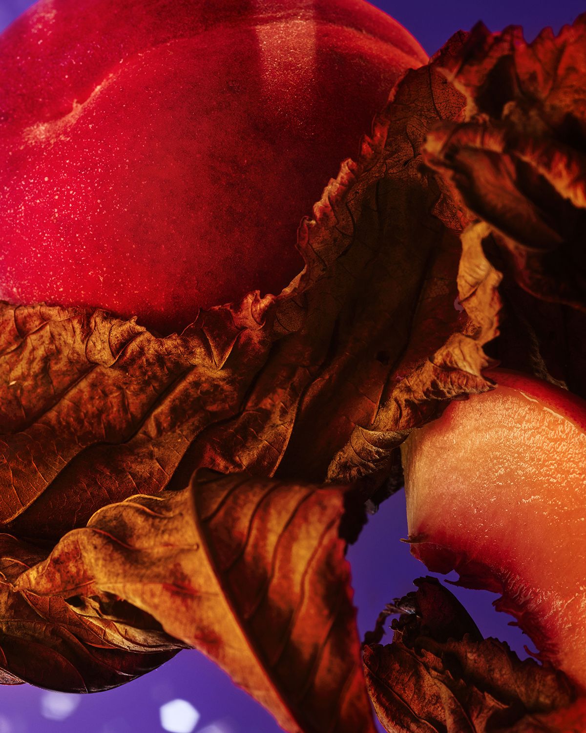 BVLGARI Fantasia Veneta Eau de Parfum, 3.4 oz.