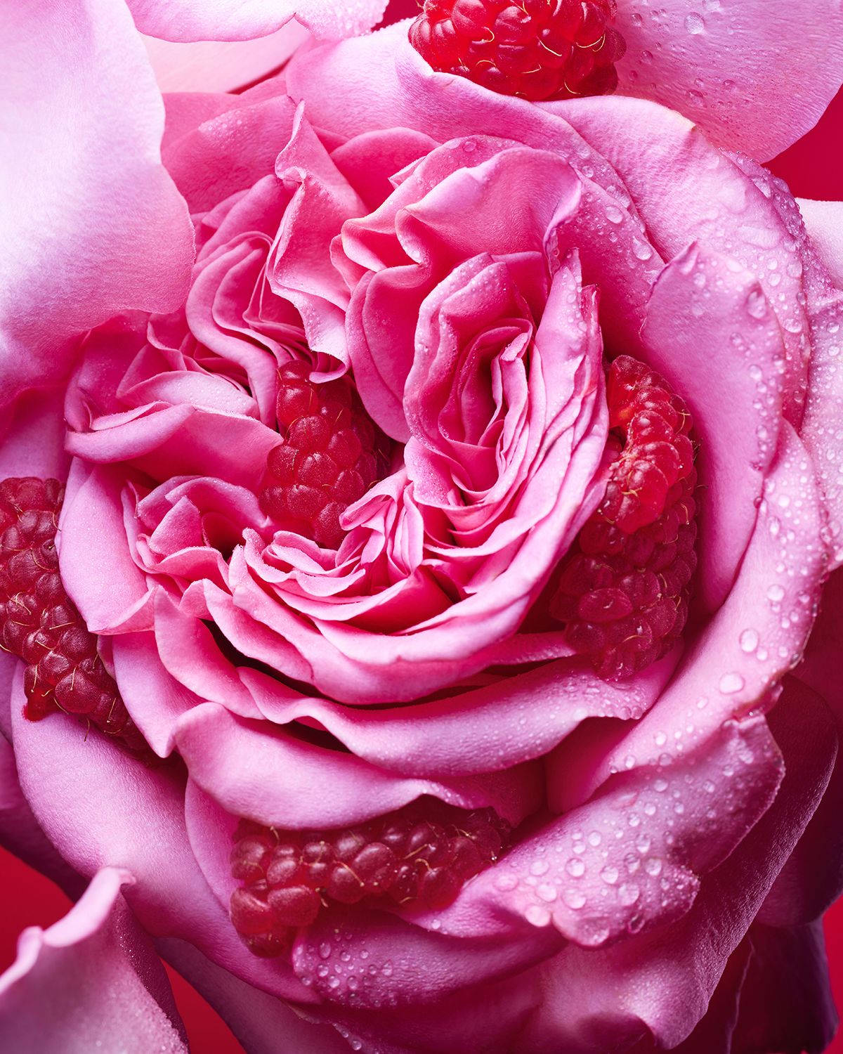 BVLGARI Allegra Fiori d 'Amore Eau de Parfum, 3.4 oz.