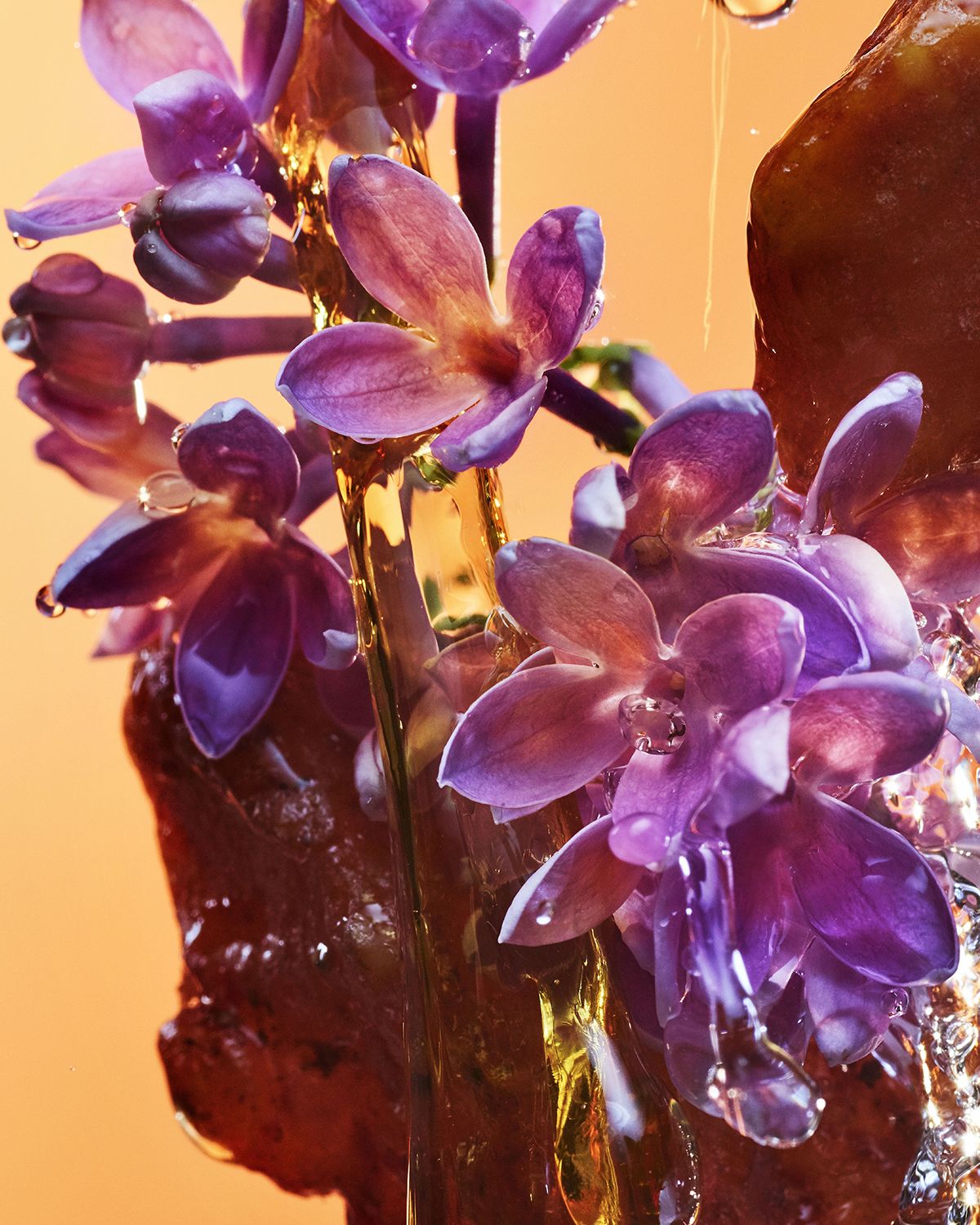 BVLGARI Rock 'n ' Rome Eau de Parfum, 3.4 oz.