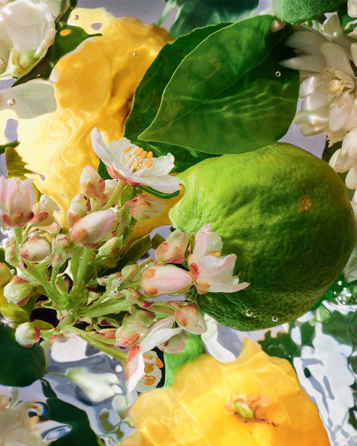 Guerlain Aqua Allegoria Bergamote Calabria Eau de Toilette, 4.2 oz.