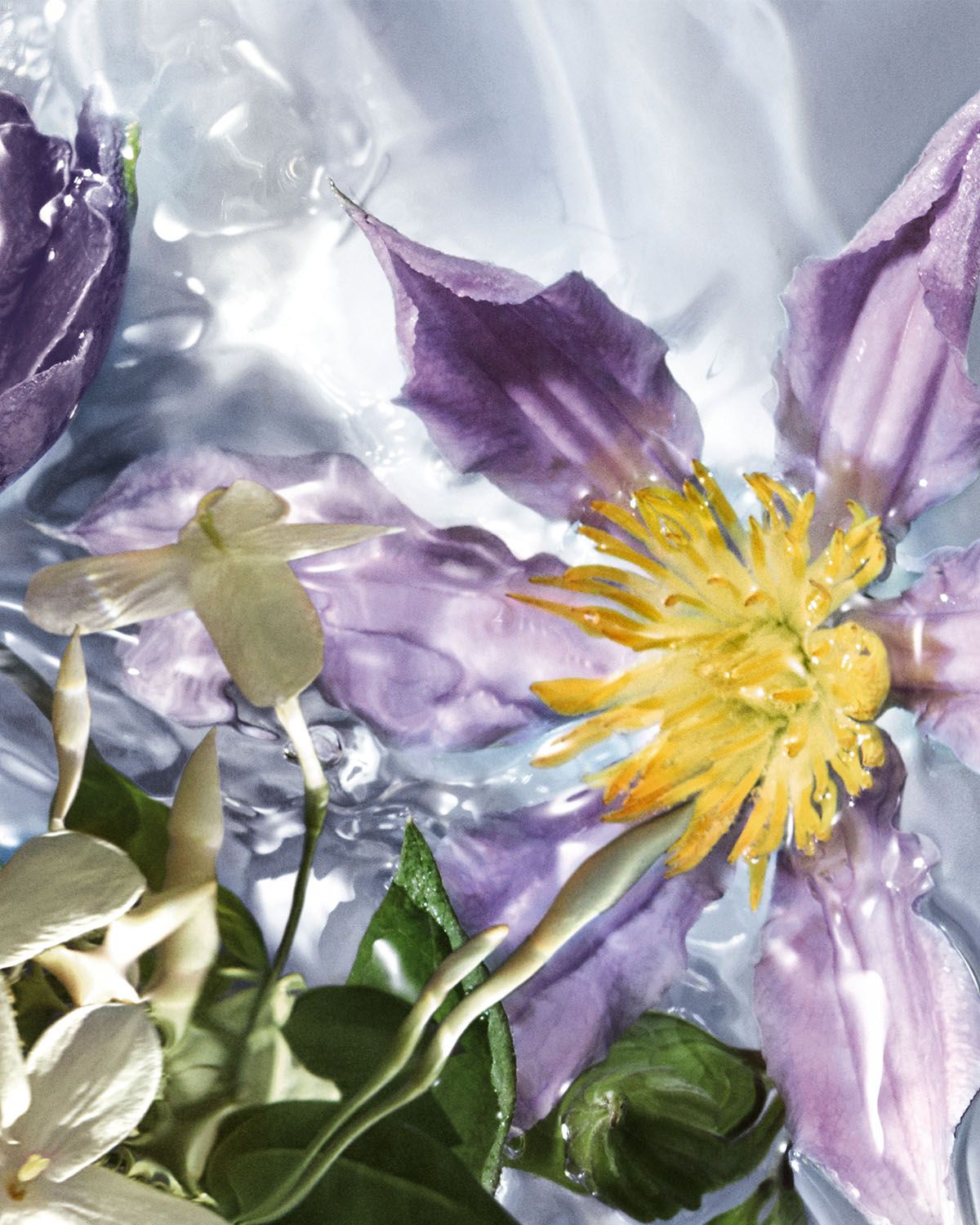 Guerlain Aqua Allegoria Flora Salvaggia Wildflower Eau de Toilette, 4.2 oz.