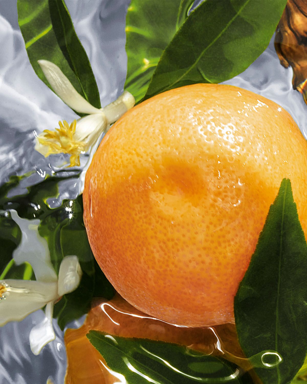 Guerlain Aqua Allegoria Pamplelune Eau de Toilette Refill, 6.7 oz.