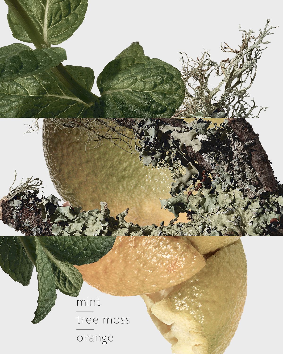 Hermes Eau d 'Orange Verte Eau de Cologne, 3.4 oz.