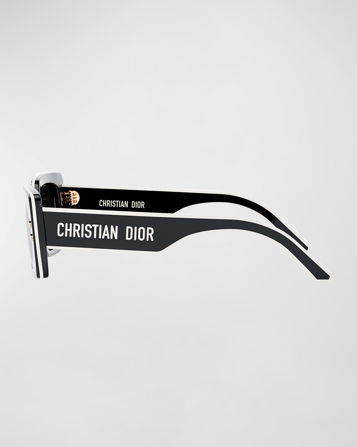 DIOR DiorPacific S1U Sunglasses