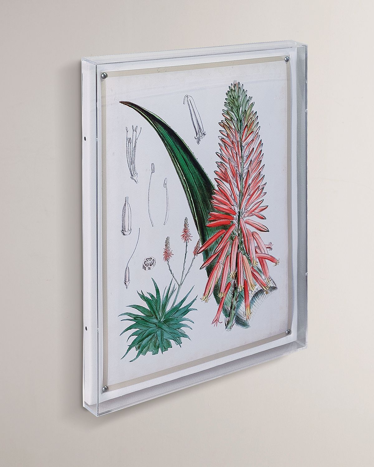 Port 68 Tropicals I Giclee