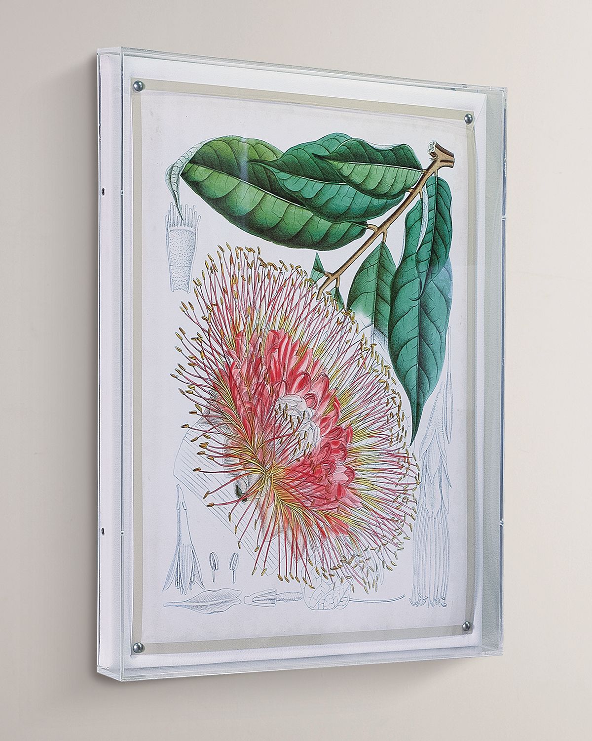 Port 68 Tropicals IV Giclee