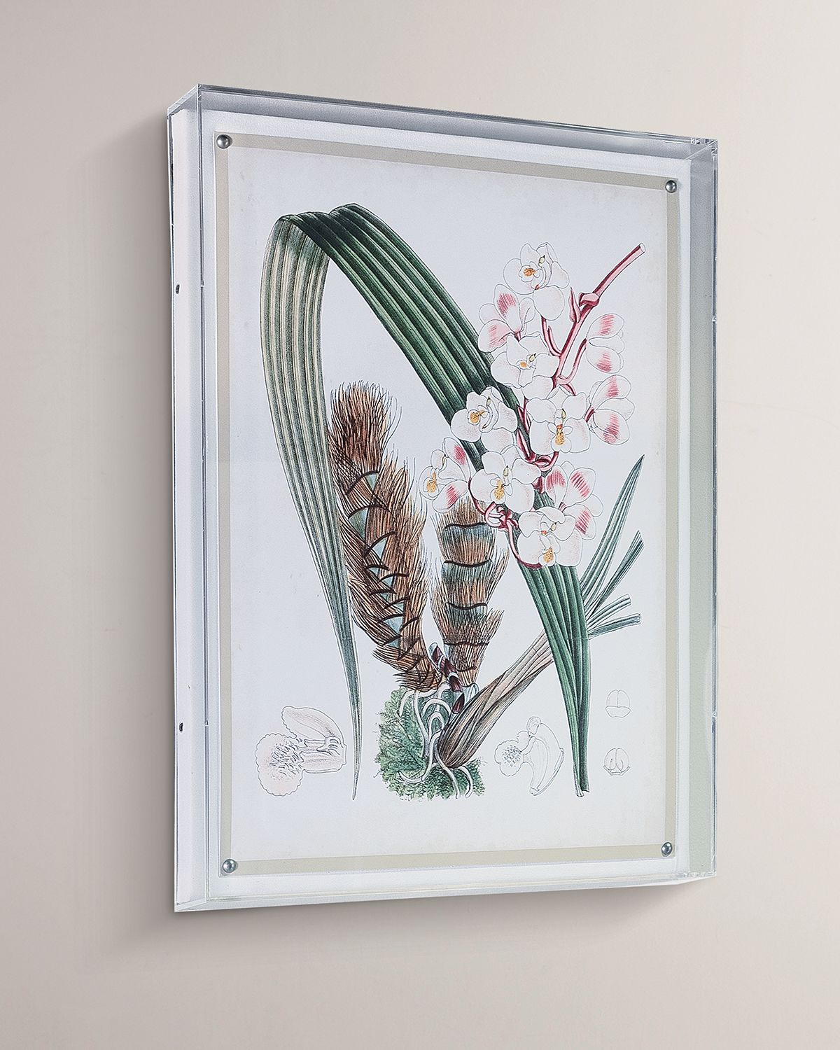 Port 68 Tropicals VIII Giclee