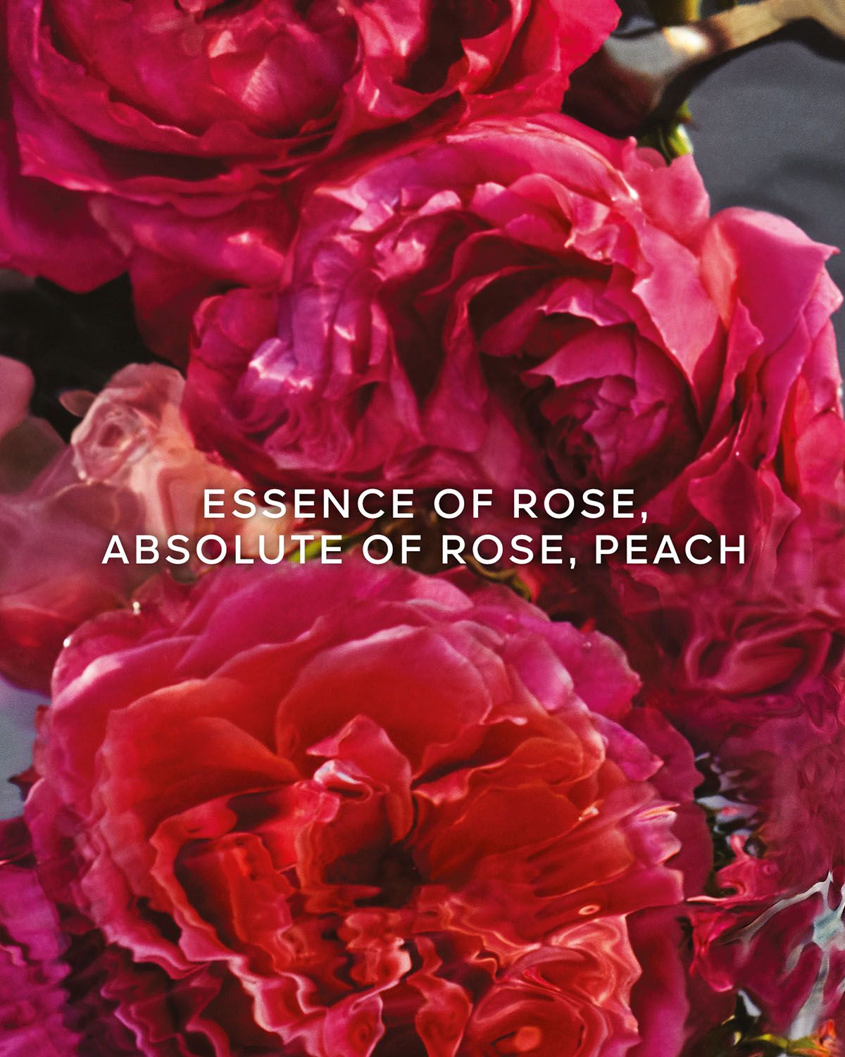 Guerlain Aqua Allegoria Rosa Rossa Rose Forte Eau de Parfum Refill