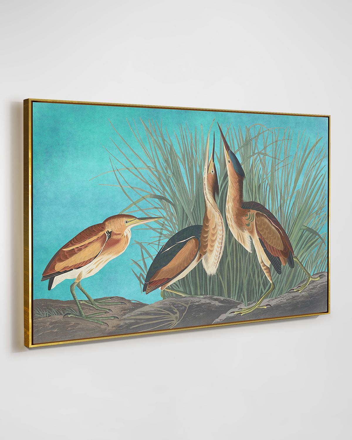 RFA Fine Art "Least Bittern" Wall Art