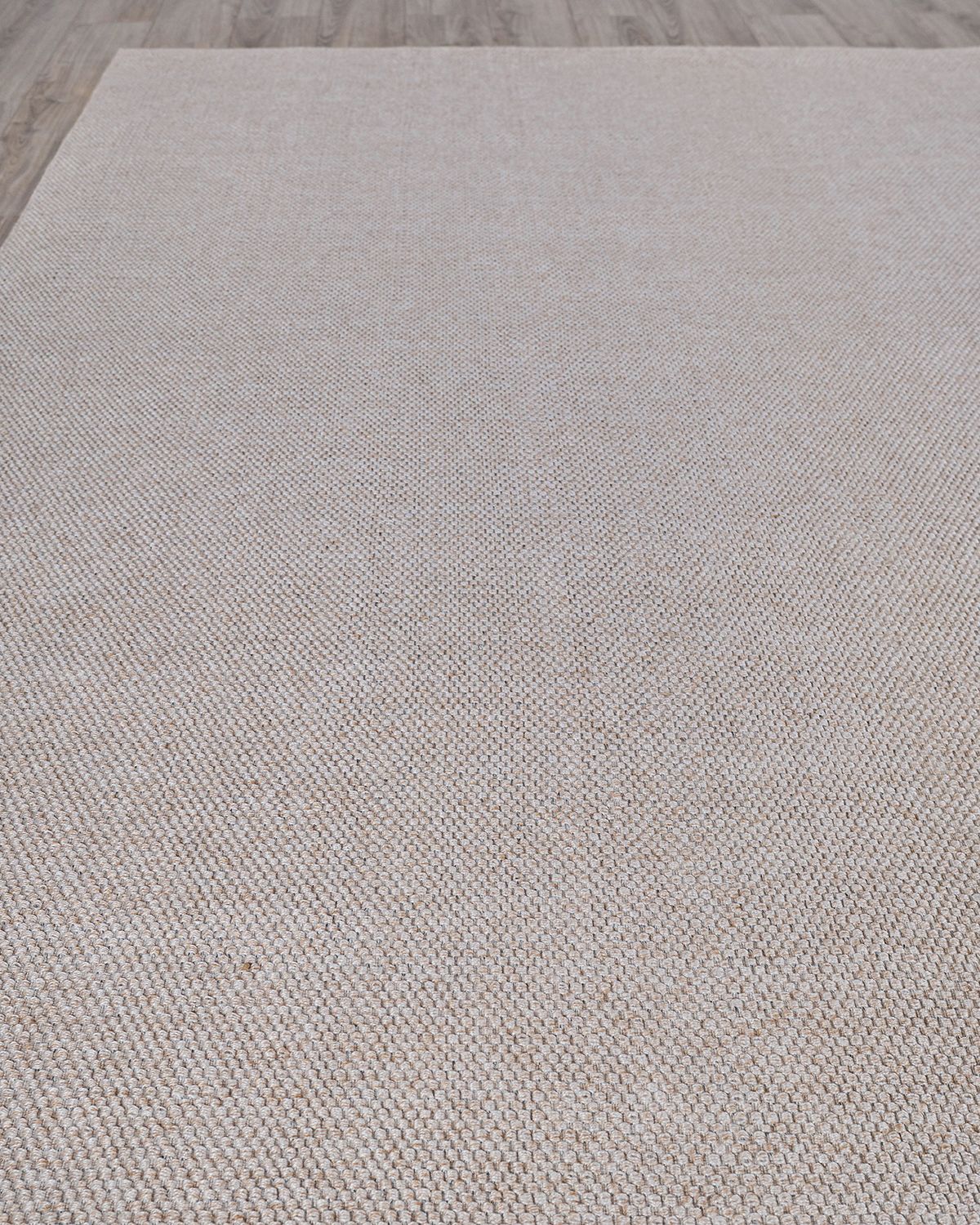Exquisite Rugs Adrianna Indoor/Outdoor Flat-Weave Rug, 6 ' x 9 ' | Thumbnail 5