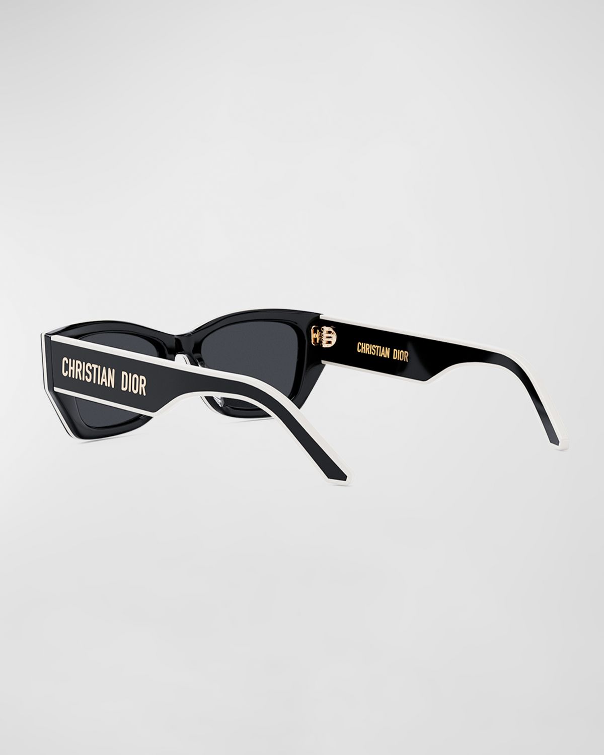 DIOR DiorPacific S2U Sunglasses