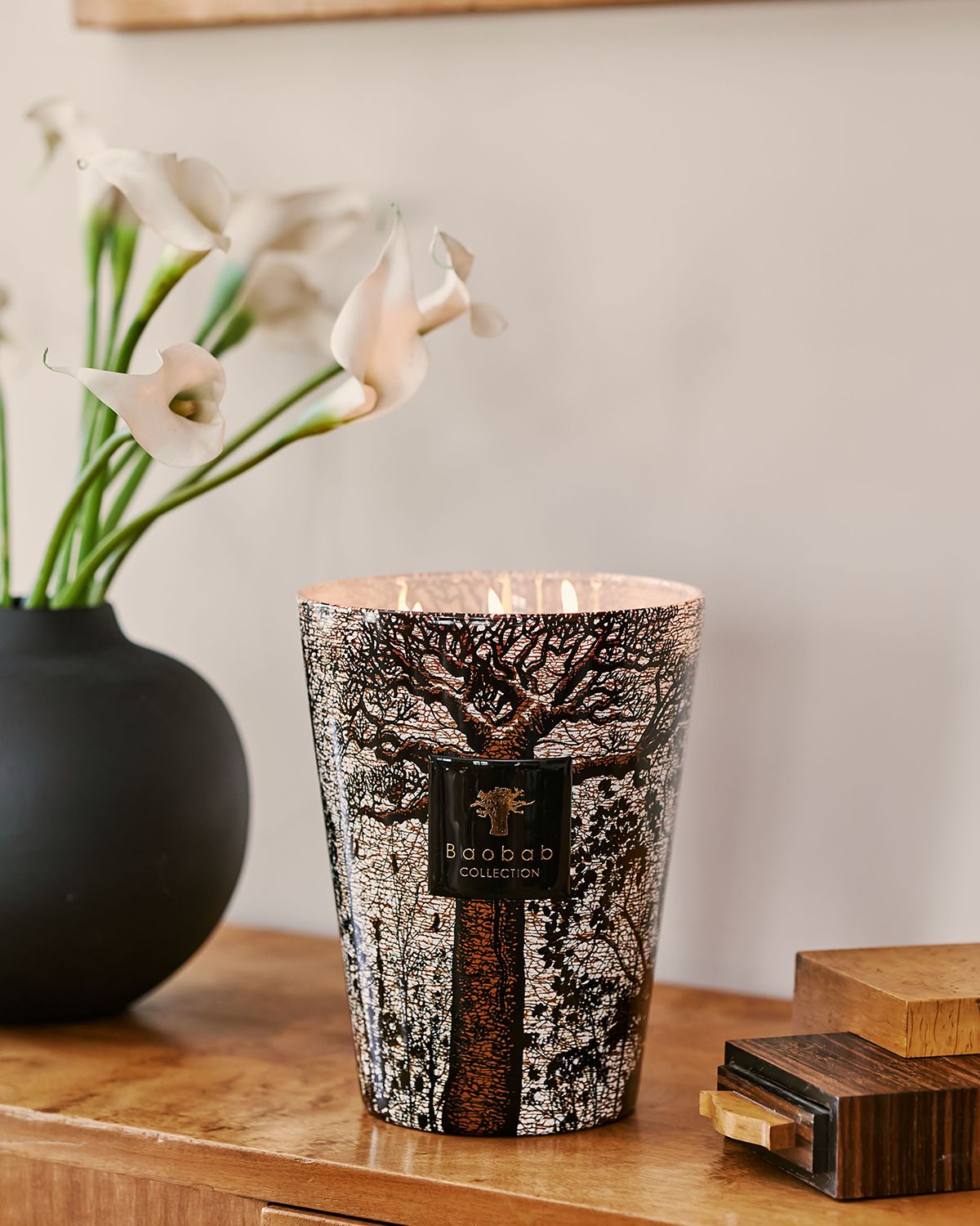 Baobab Collection Sacred Trees Morondo 5-Wick Max24 Candle