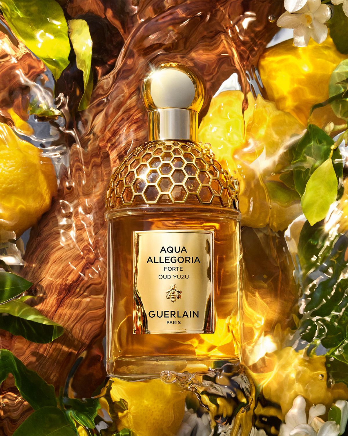 Guerlain Aqua Allegoria Oud Yuzu Forte Eau de Parfum, 2.5 oz.