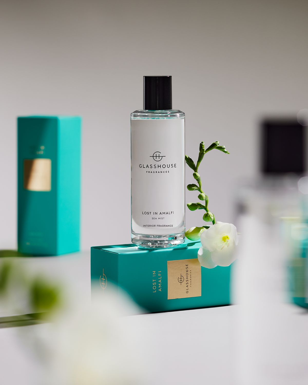 GLASSHOUSE FRAGRANCES Lost in Amalfi Interior Fragrance, 5.07 oz.