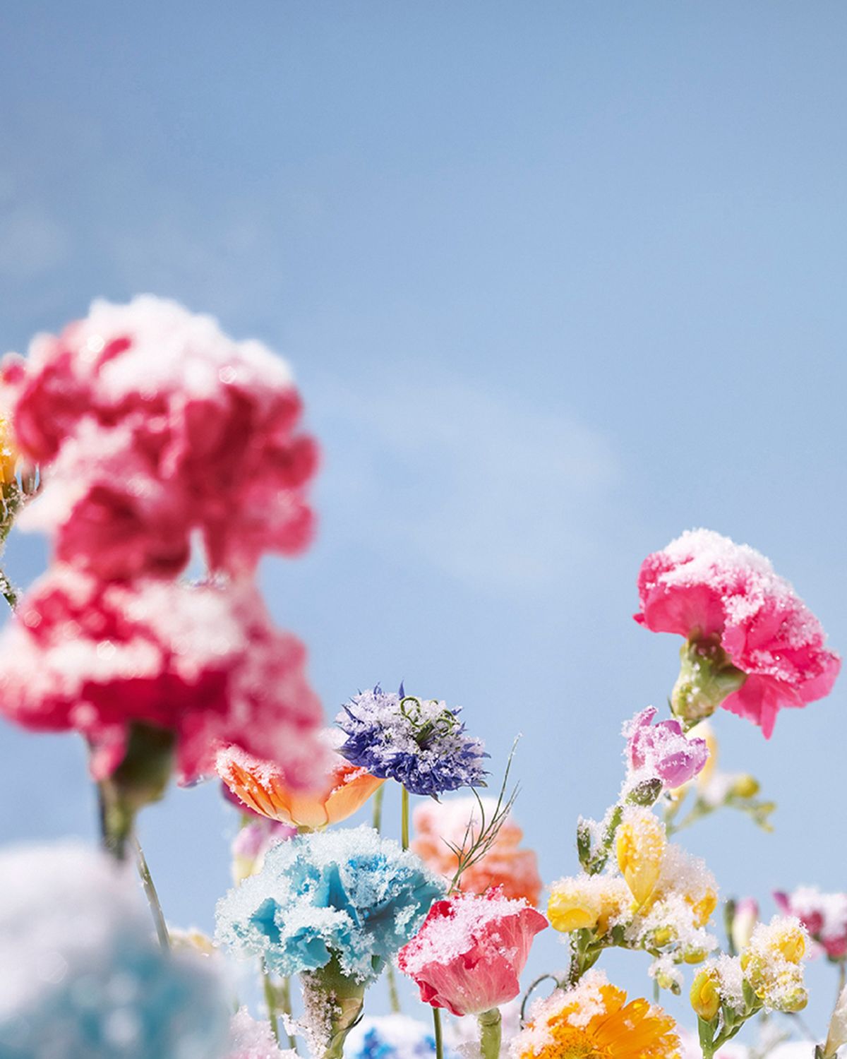 Maison Francis Kurkdjian A la Rose Precious Elixirs, 4 x 4 mL