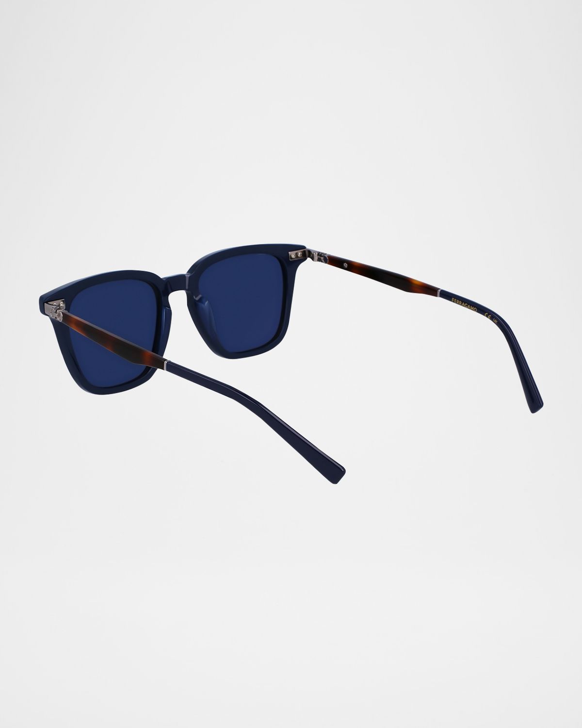 Ferragamo Men 's Timeless Acetate Rectangle Sunglasses