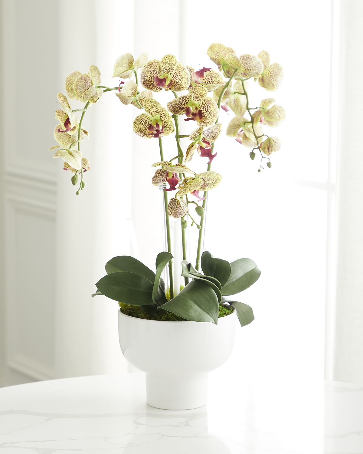 T & C Floral Company Triple Orchid Faux Florals in White Ceramic Pot with Selenite - 23" | Thumbnail 5