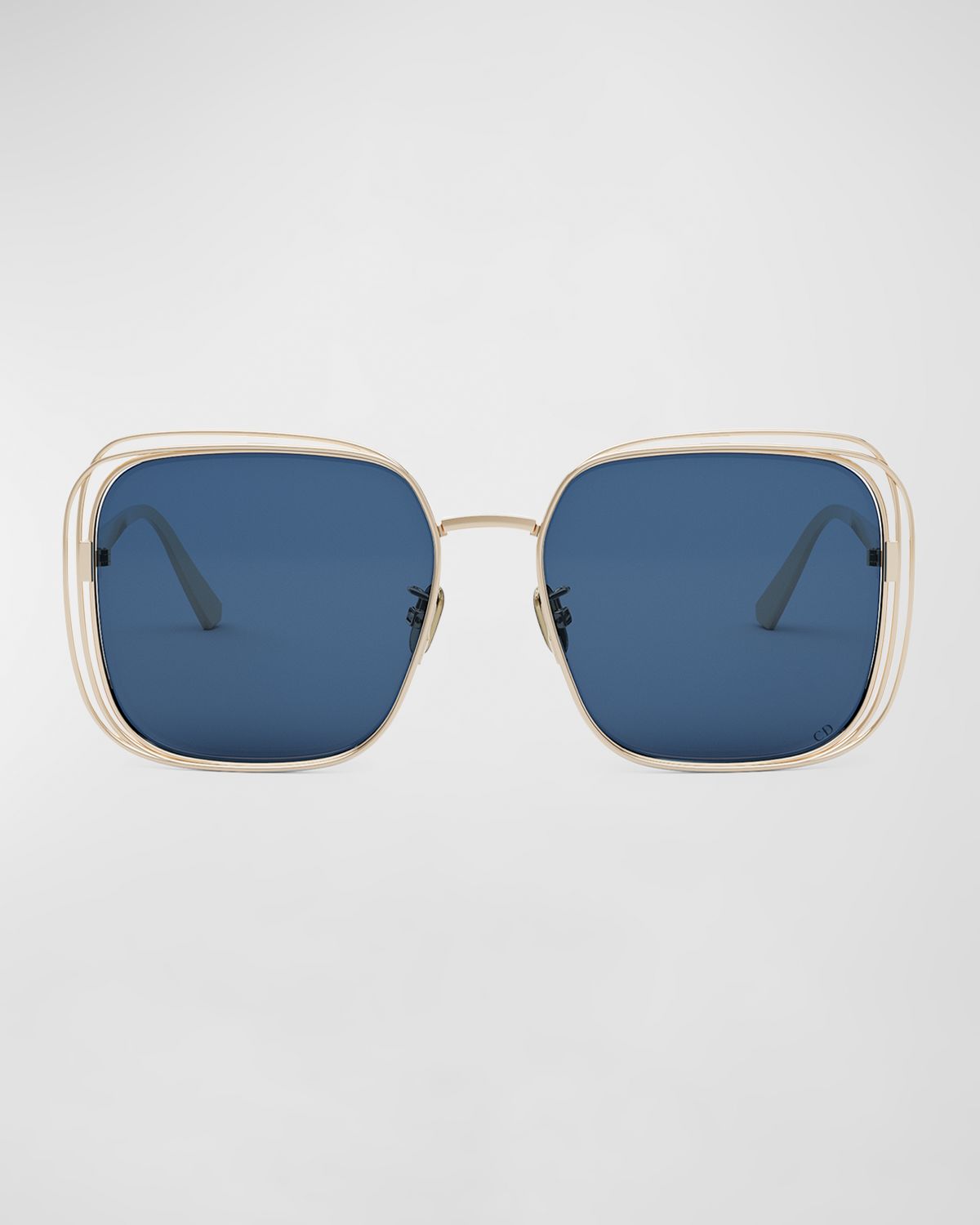 Dior Fil S1U Sunglasses