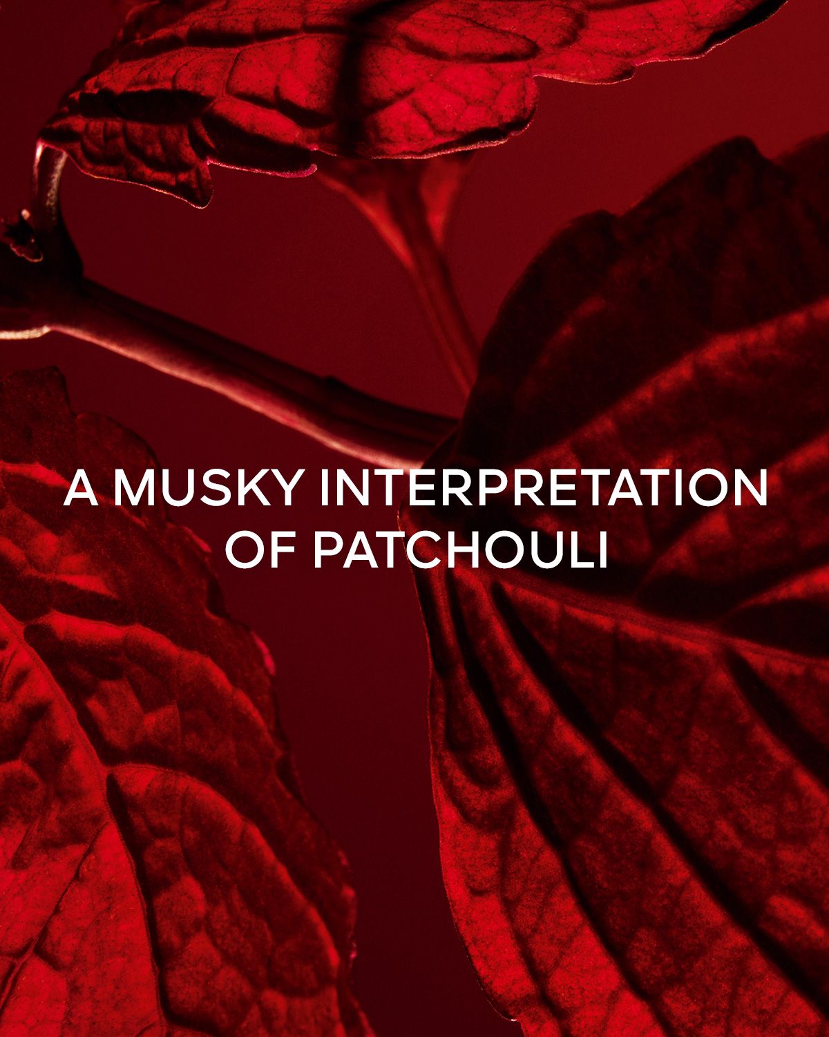 Guerlain L 'Art et La Matiere Patchouli Paris Eau de Parfum