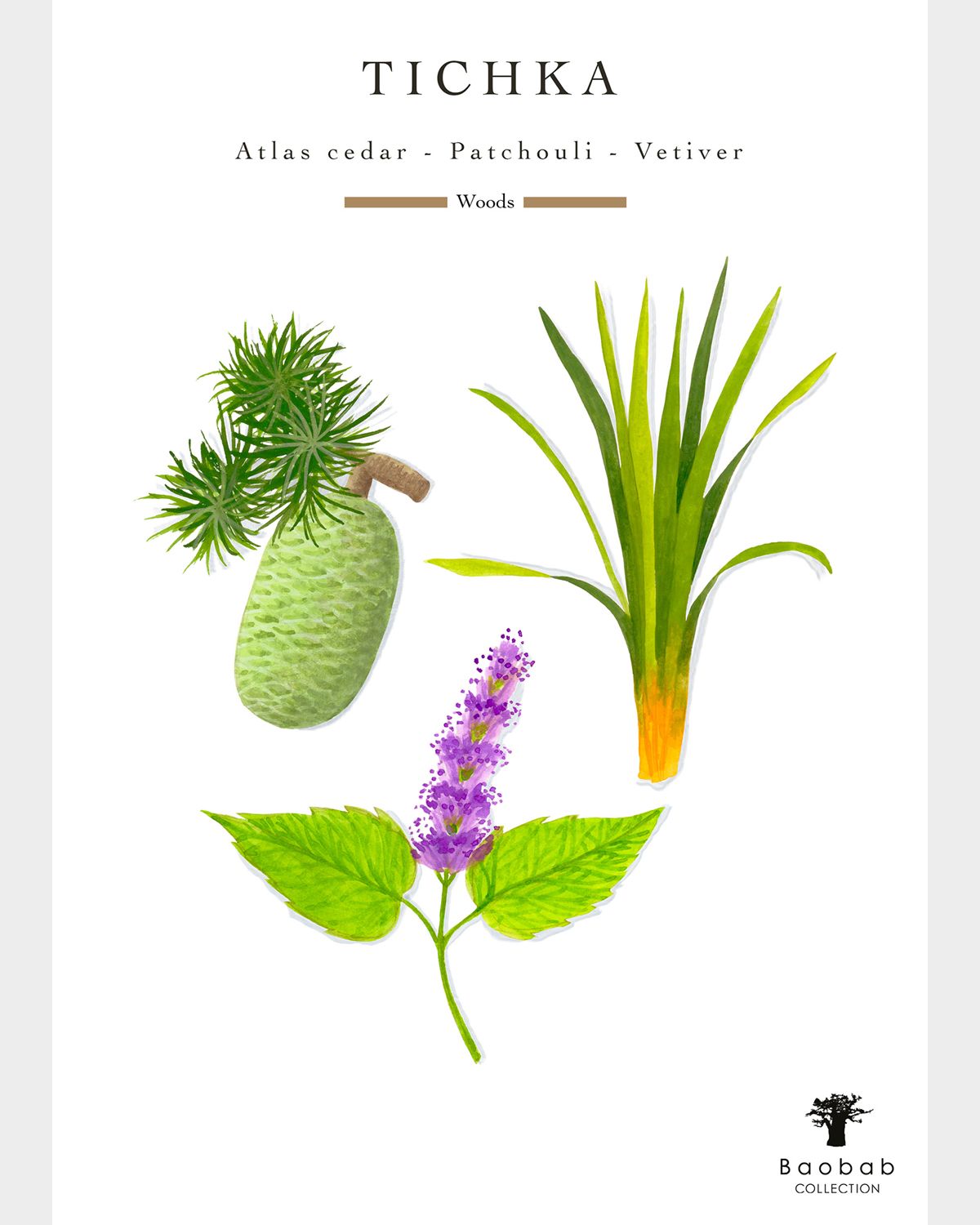 Baobab Collection Atlas Tichka 4-Wick Max 10 Candle, 1.3 kg