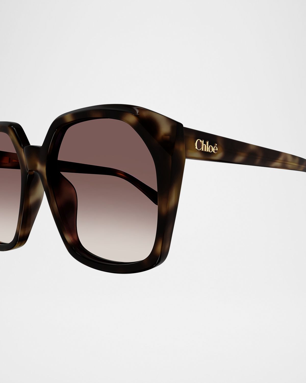 Chloe Acetate Round Sunglasses