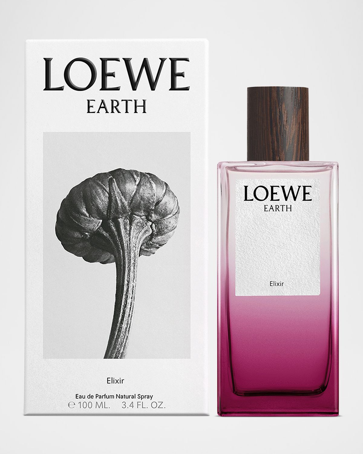 Loewe LOEWE Earth Elixir Eau De Parfum, 100 mL