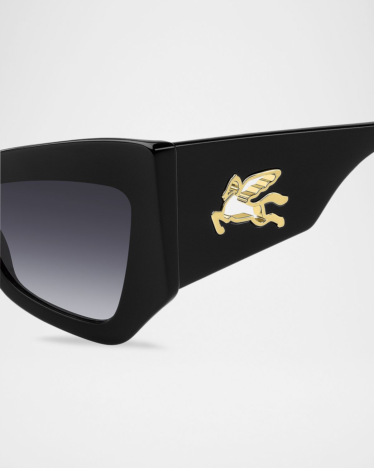Etro mania Acetate Butterfly Sunglasses