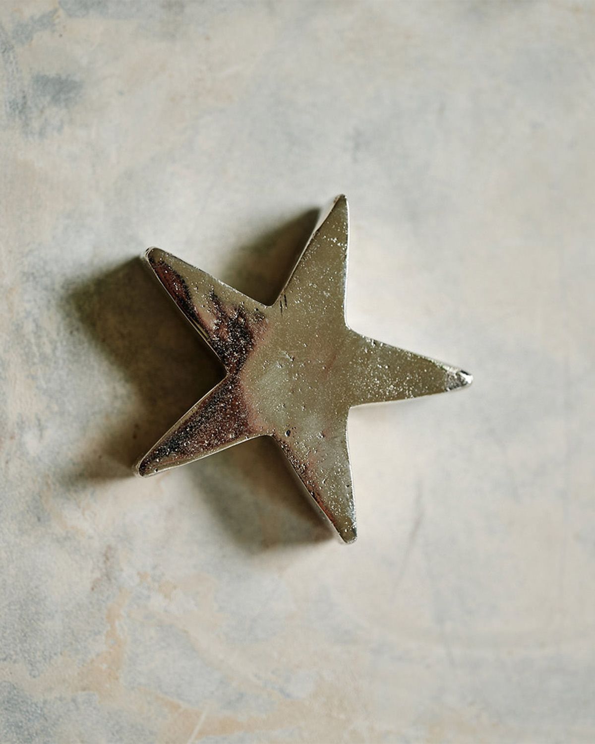 Jan Barboglio Estrella Star Paperweight