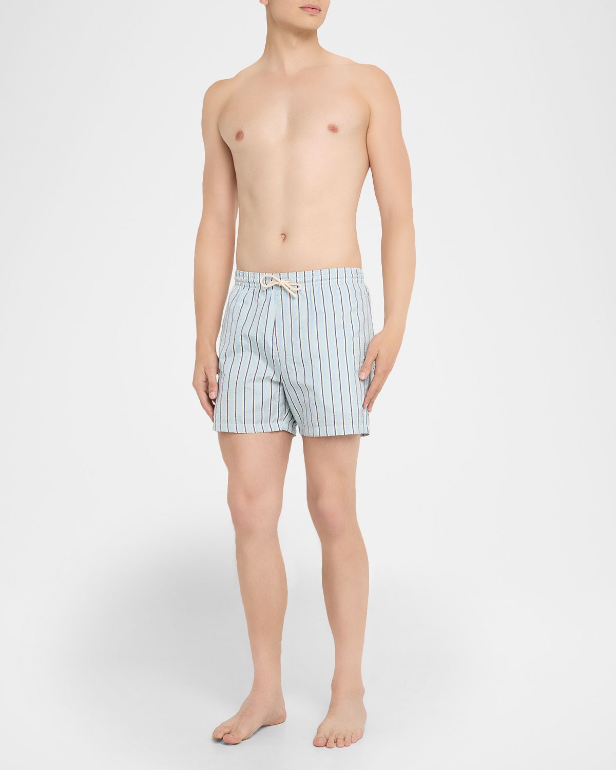 Loro Piana Men 's Daneu Stripe Swim Shorts