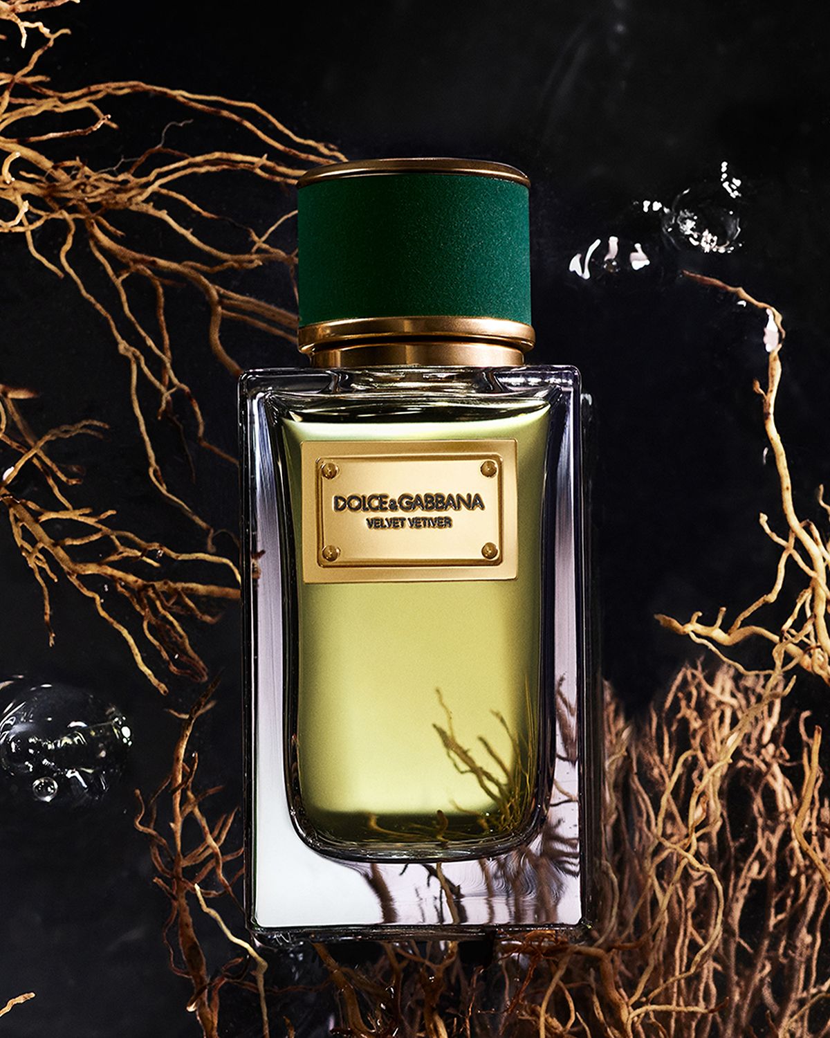 Dolce & Gabbana Beauty Velvet Vetiver Eau de Parfum, 3.3 oz.