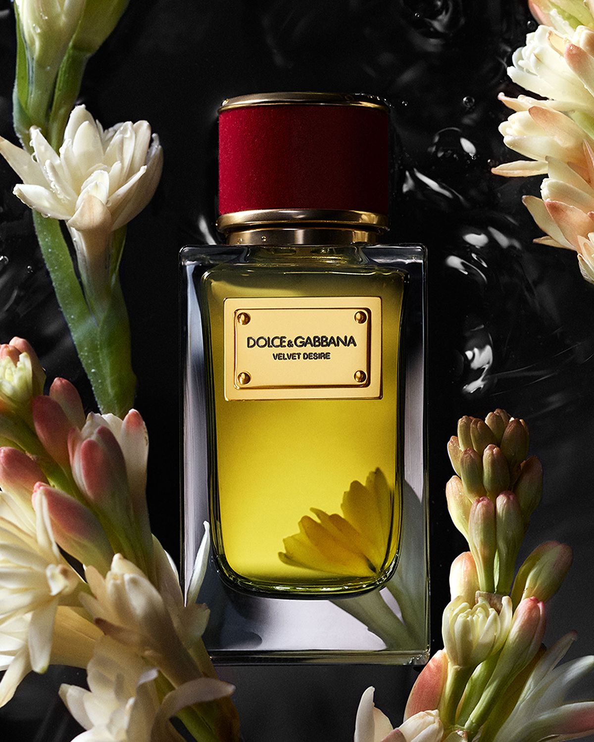 Dolce & Gabbana Beauty VELVET DESIRE Eau de Parfum, 3.3 oz.