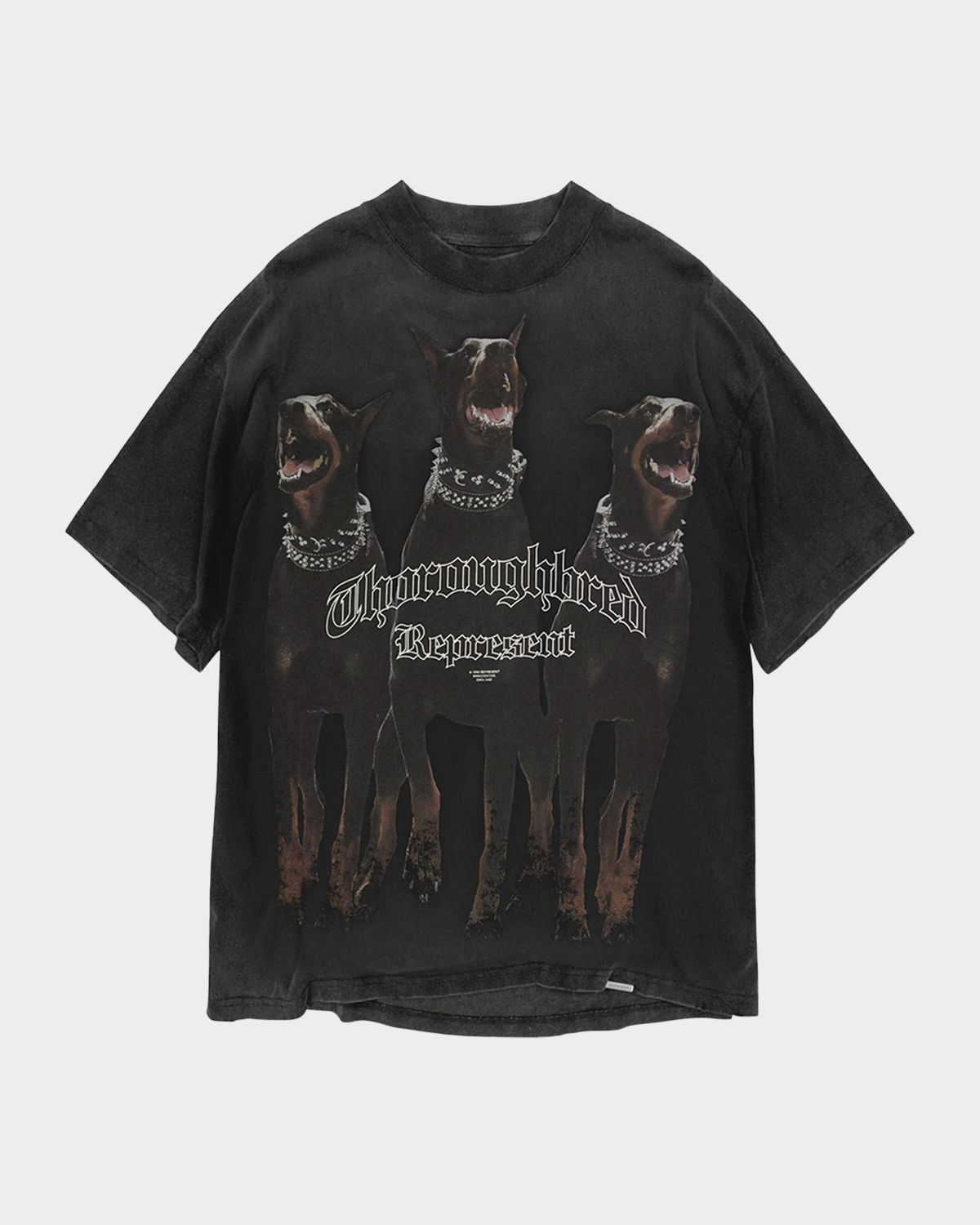 REPRESENT Men 's Thoroughbred T-Shirt