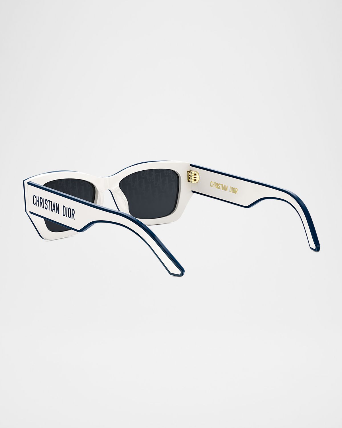 DIOR Diorpacific S2U Square Sunglasses