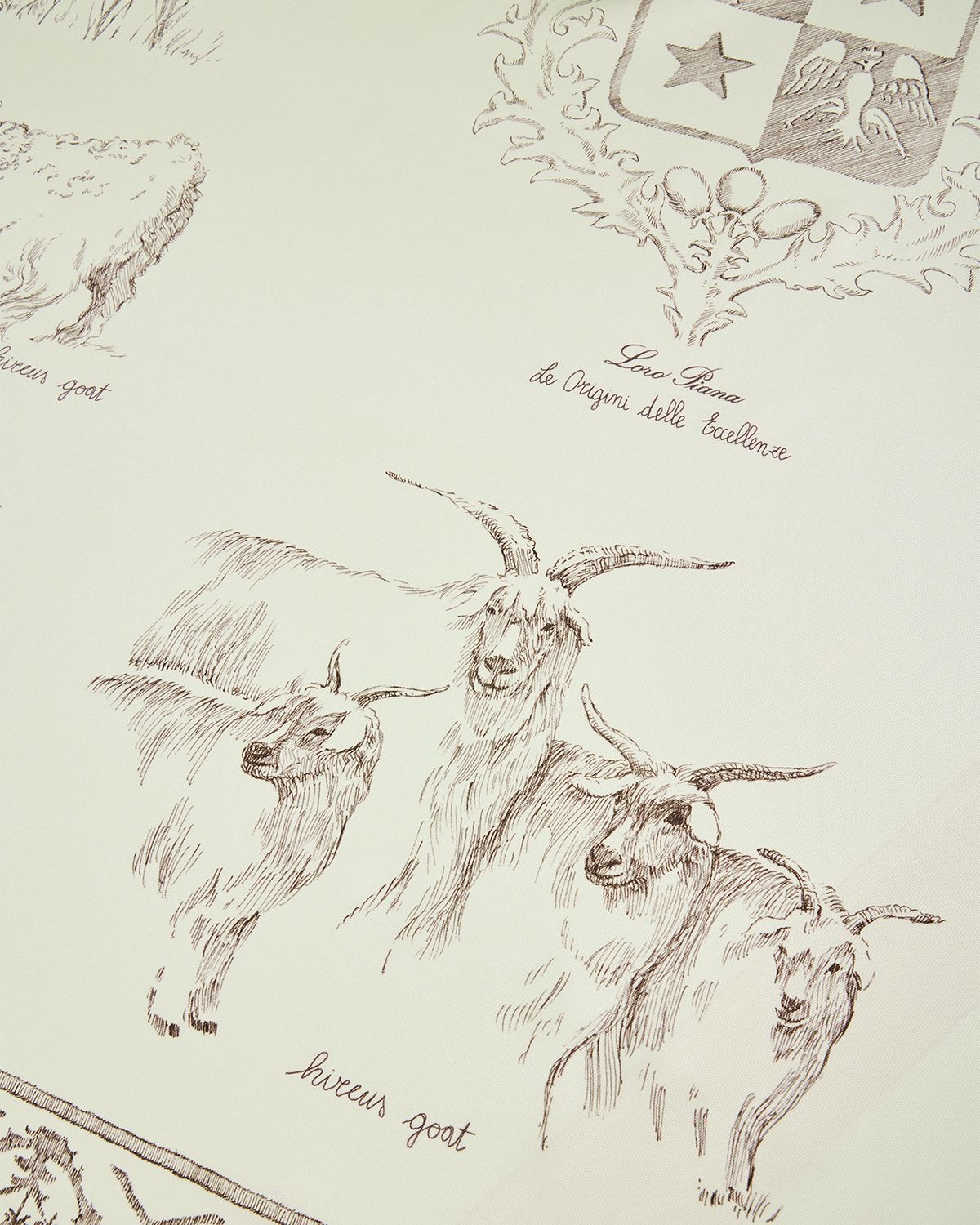 Loro Piana Le Origini Delle Eccellenze Foulard Scarf