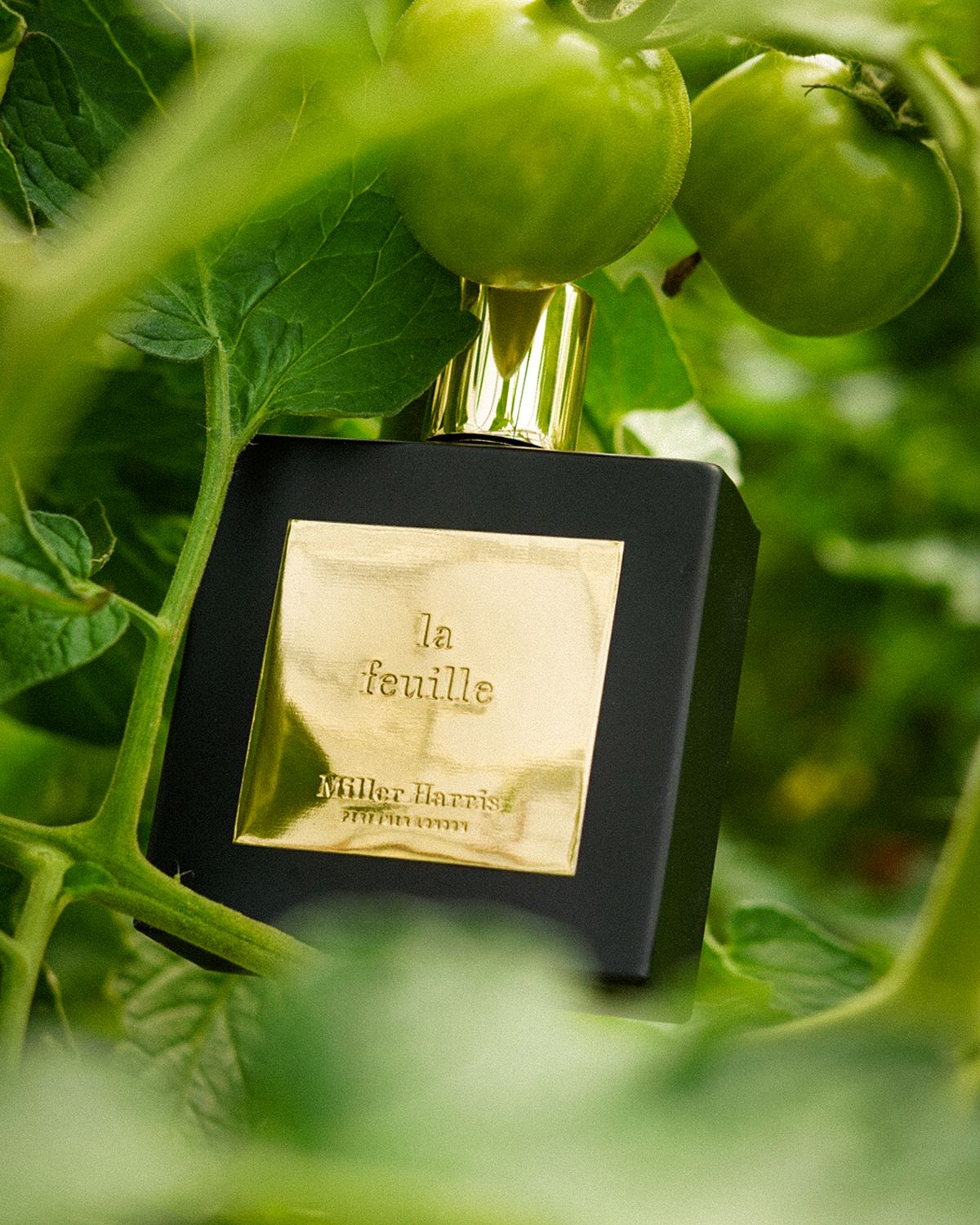 Miller Harris La Feuille Eau de Parfum, 3.4 oz.